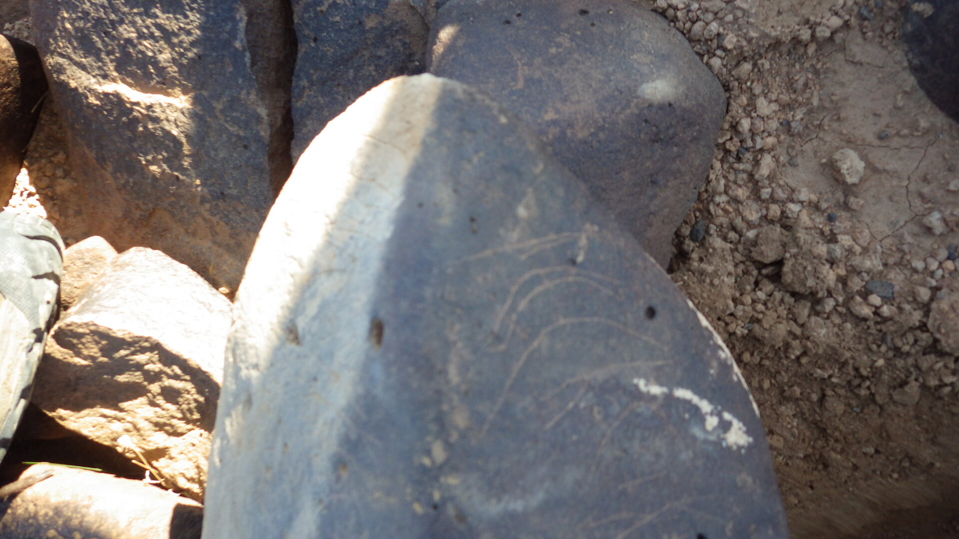 Image of siglum BES20 1246