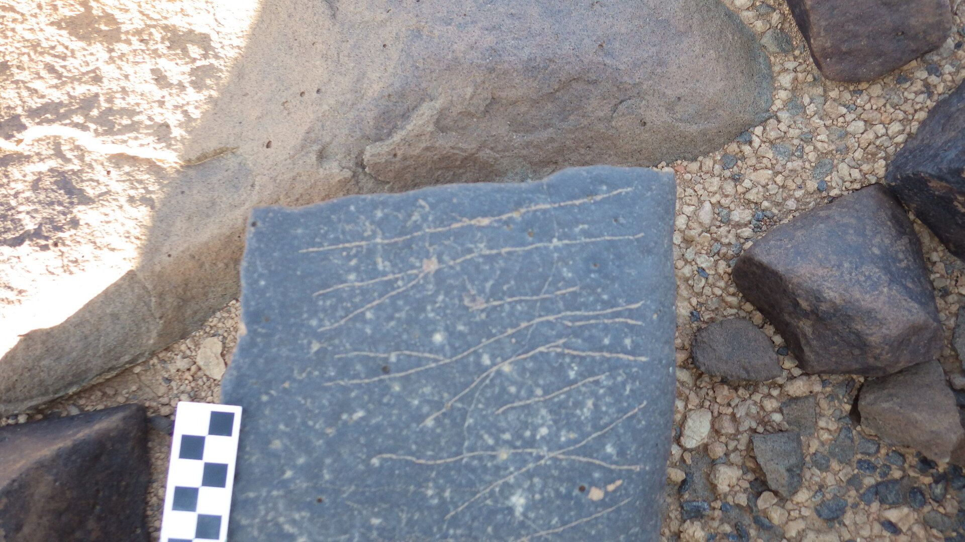 Image of siglum BES20 1246