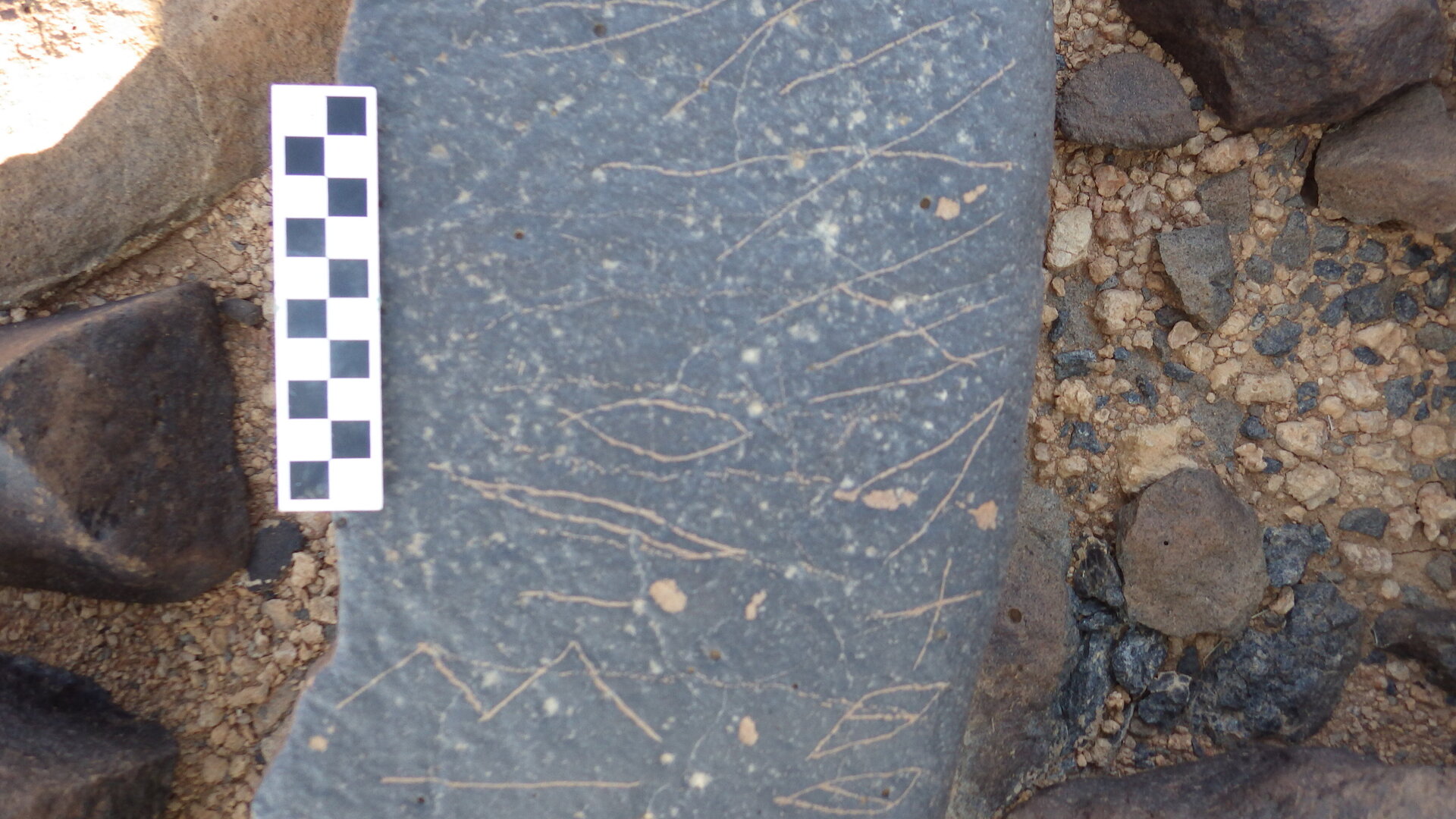 Image of siglum BES20 1246