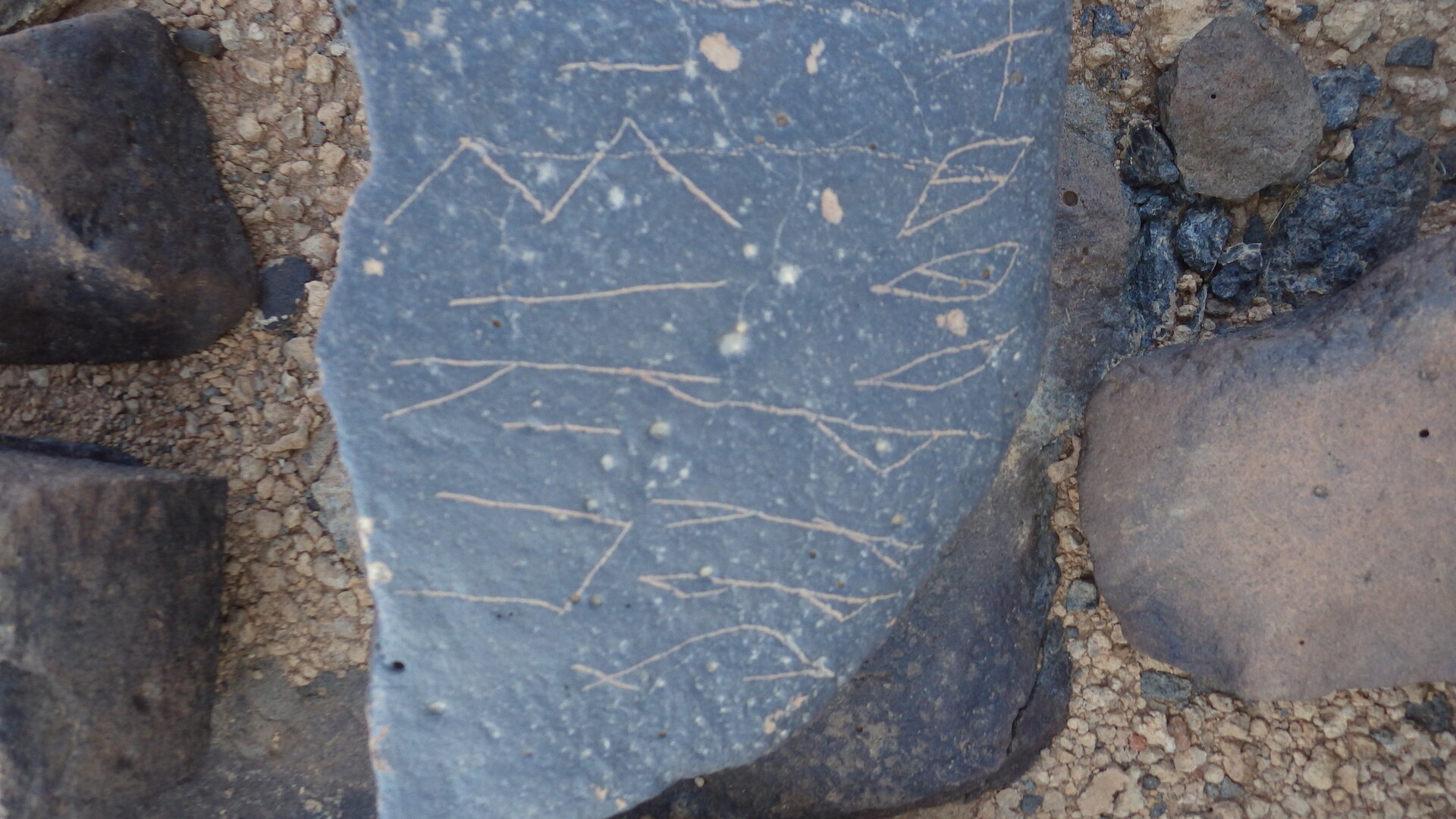 Image of siglum BES20 1246