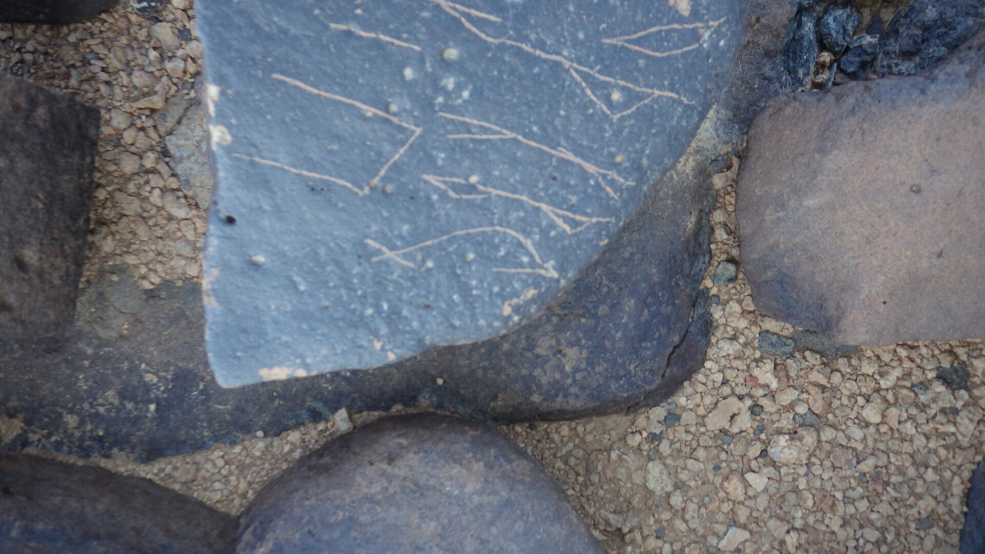 Image of siglum BES20 1246