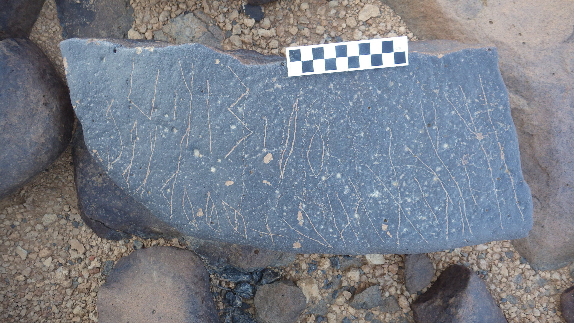 Image of siglum BES20 1246