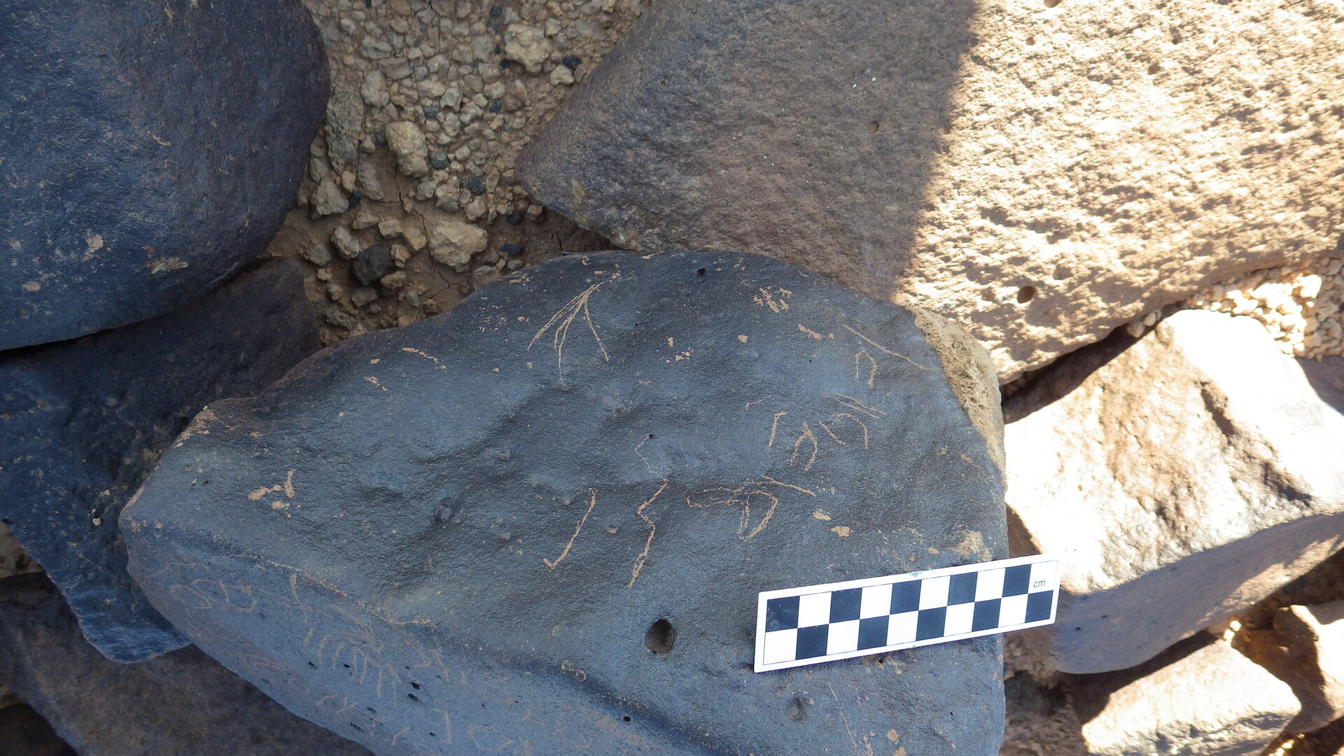 Image of siglum BES20 1246