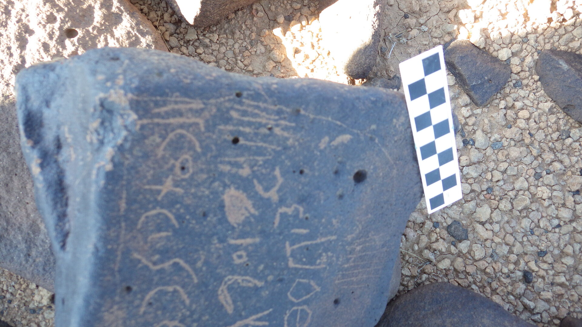 Image of siglum BES20 1246