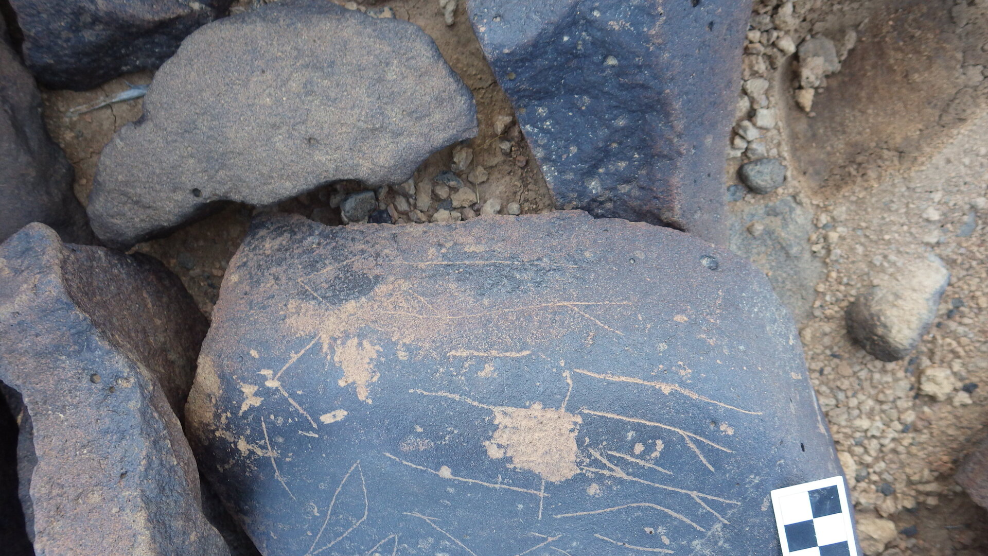 Image of siglum BES20 1246