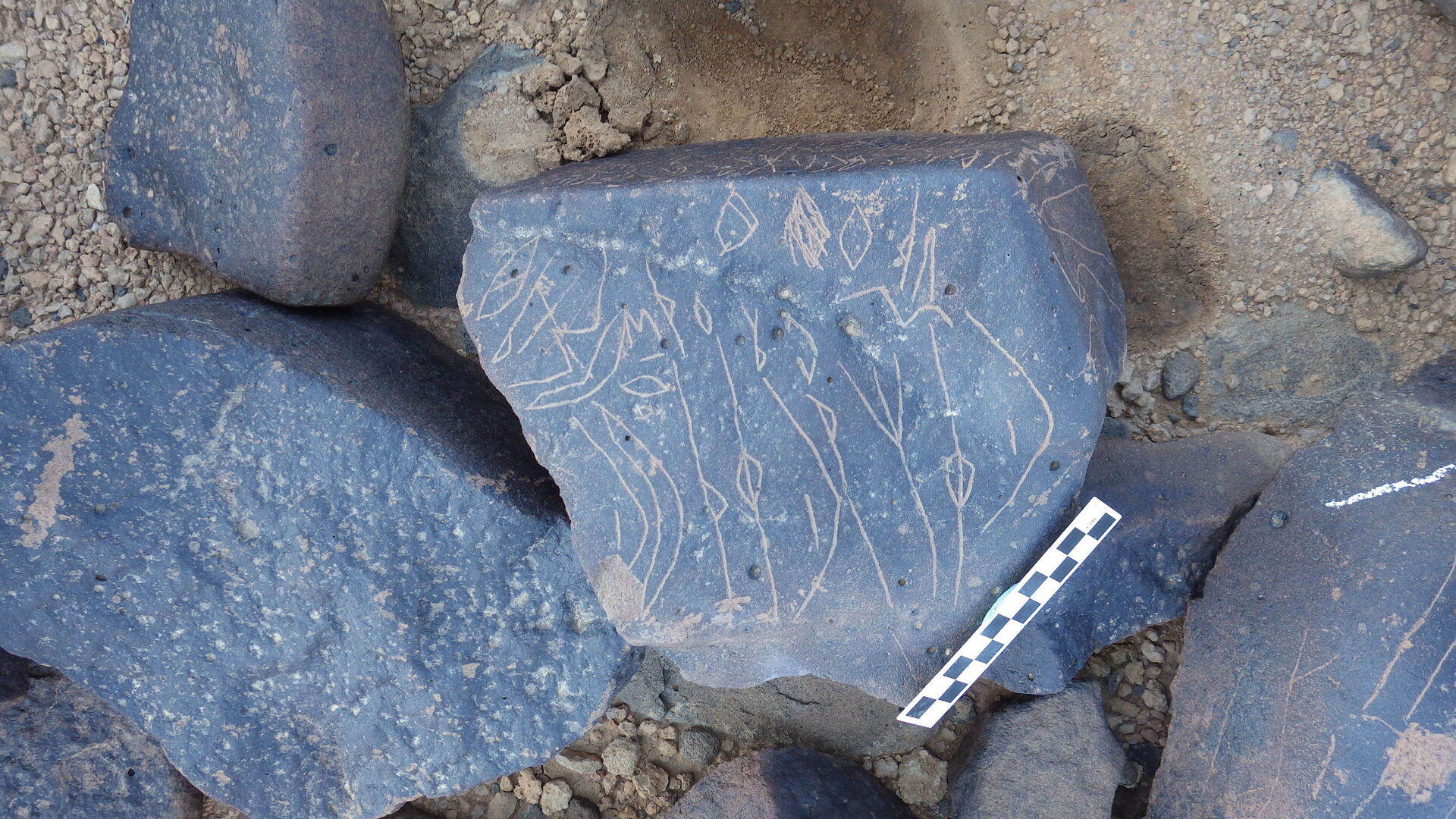 Image of siglum BES20 1246
