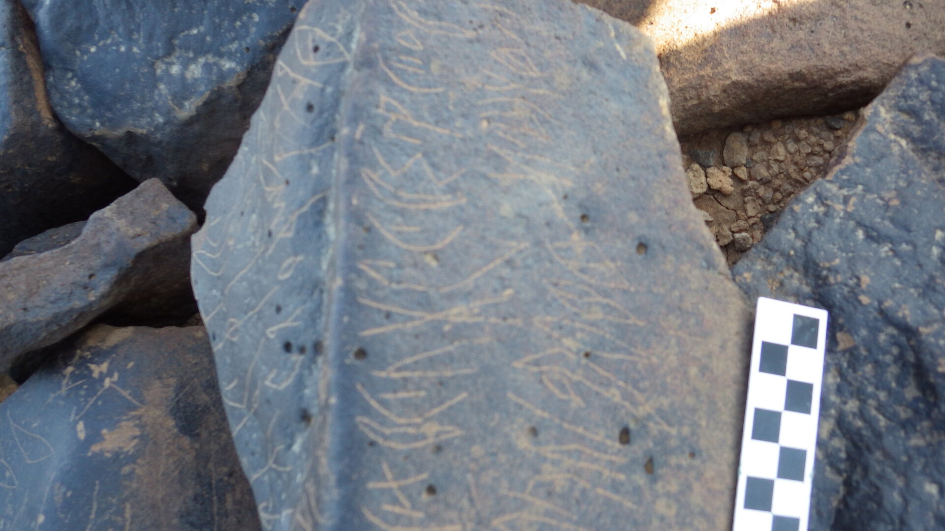 Image of siglum BES20 1246