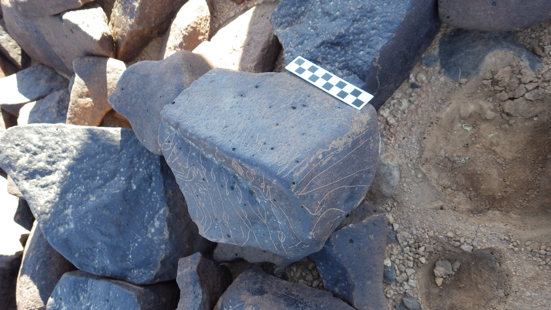 Image of siglum BES20 1246