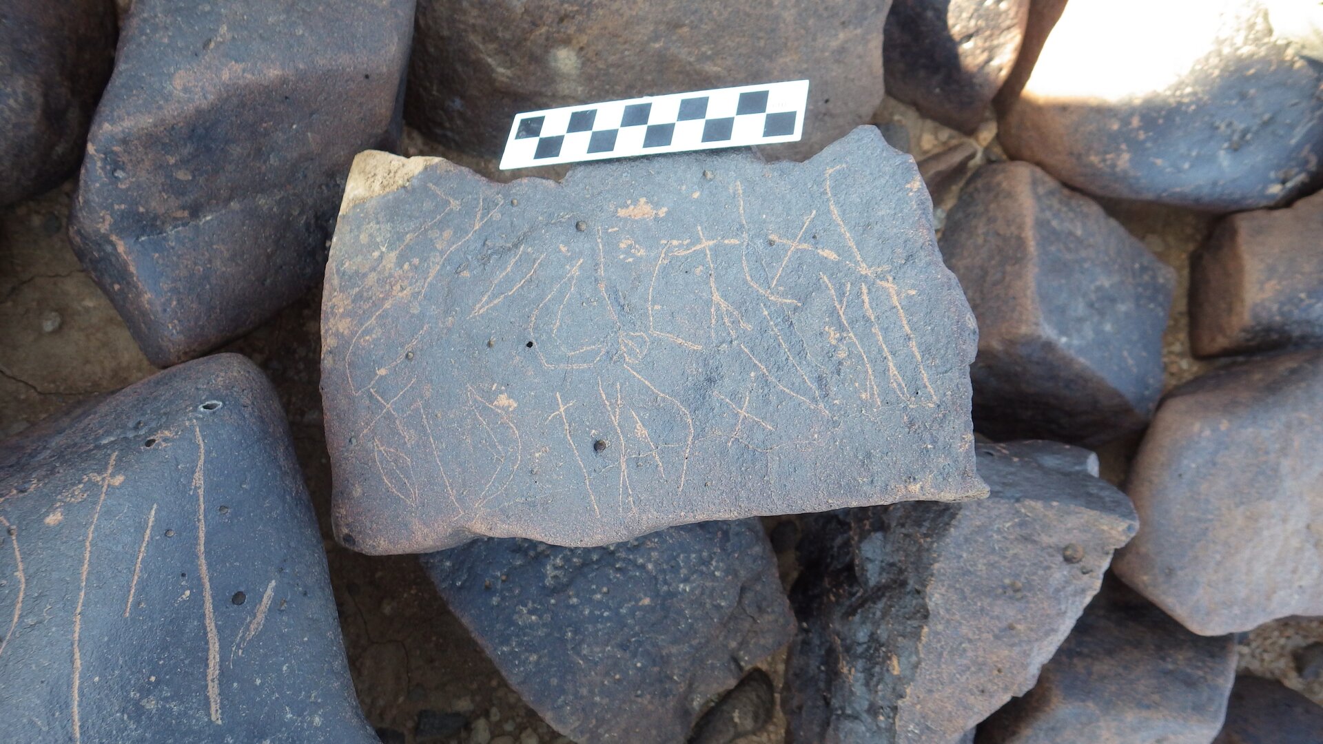 Image of siglum BES20 1246