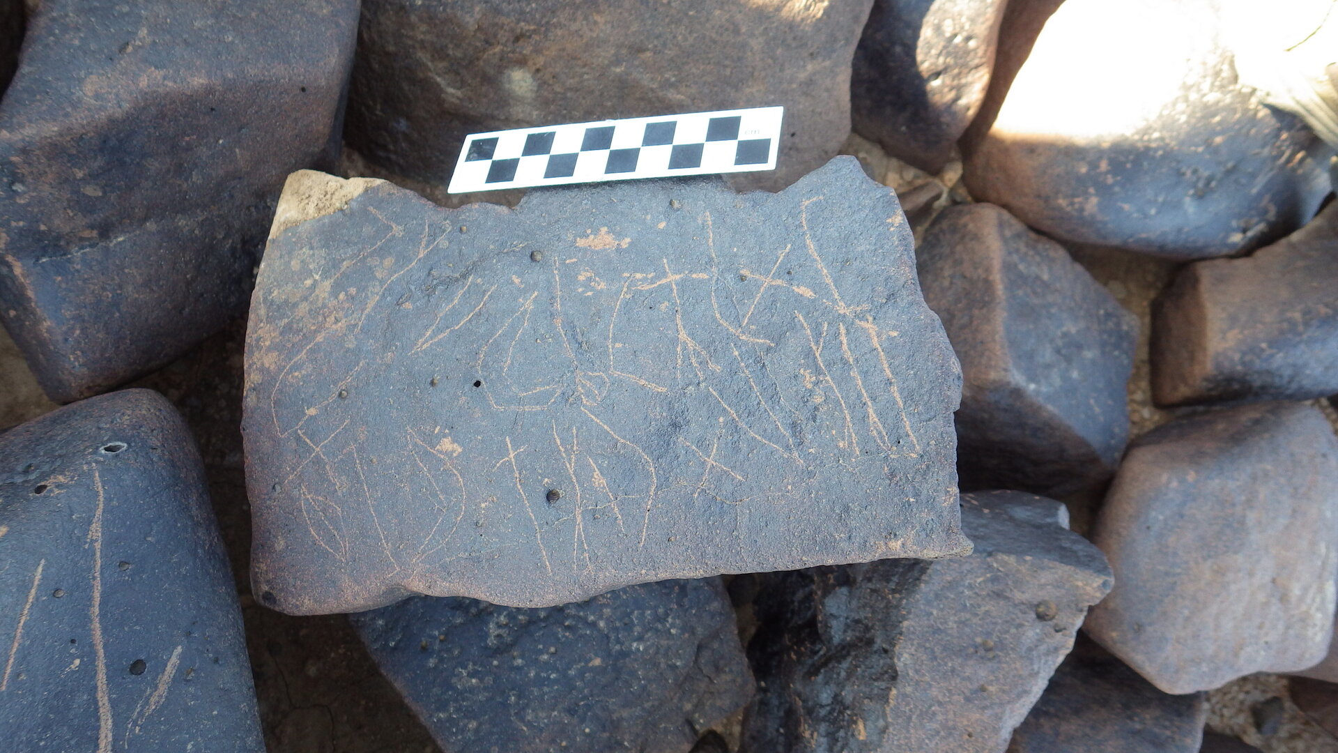 Image of siglum BES20 1246