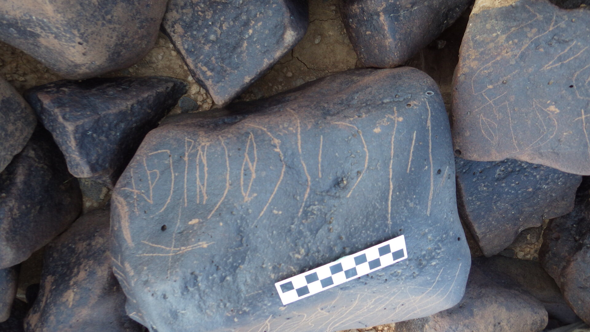 Image of siglum BES20 1246