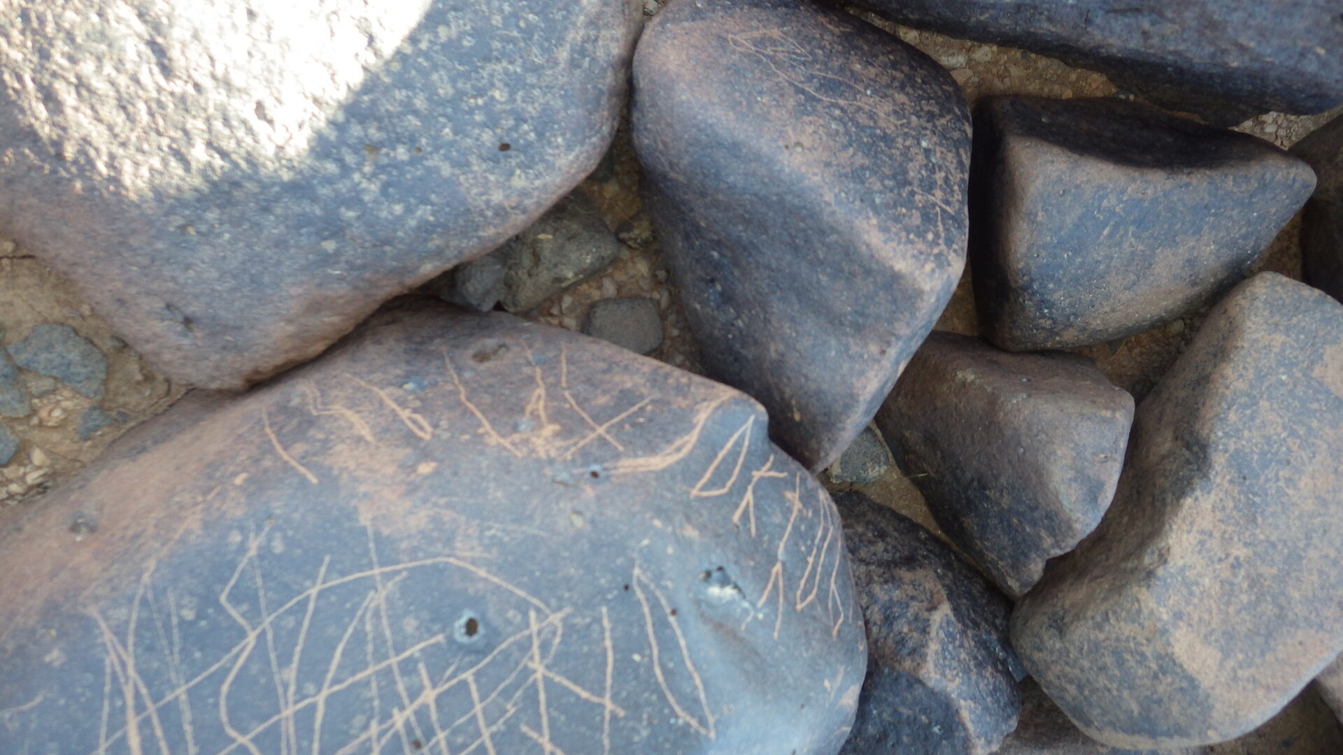 Image of siglum BES20 1246
