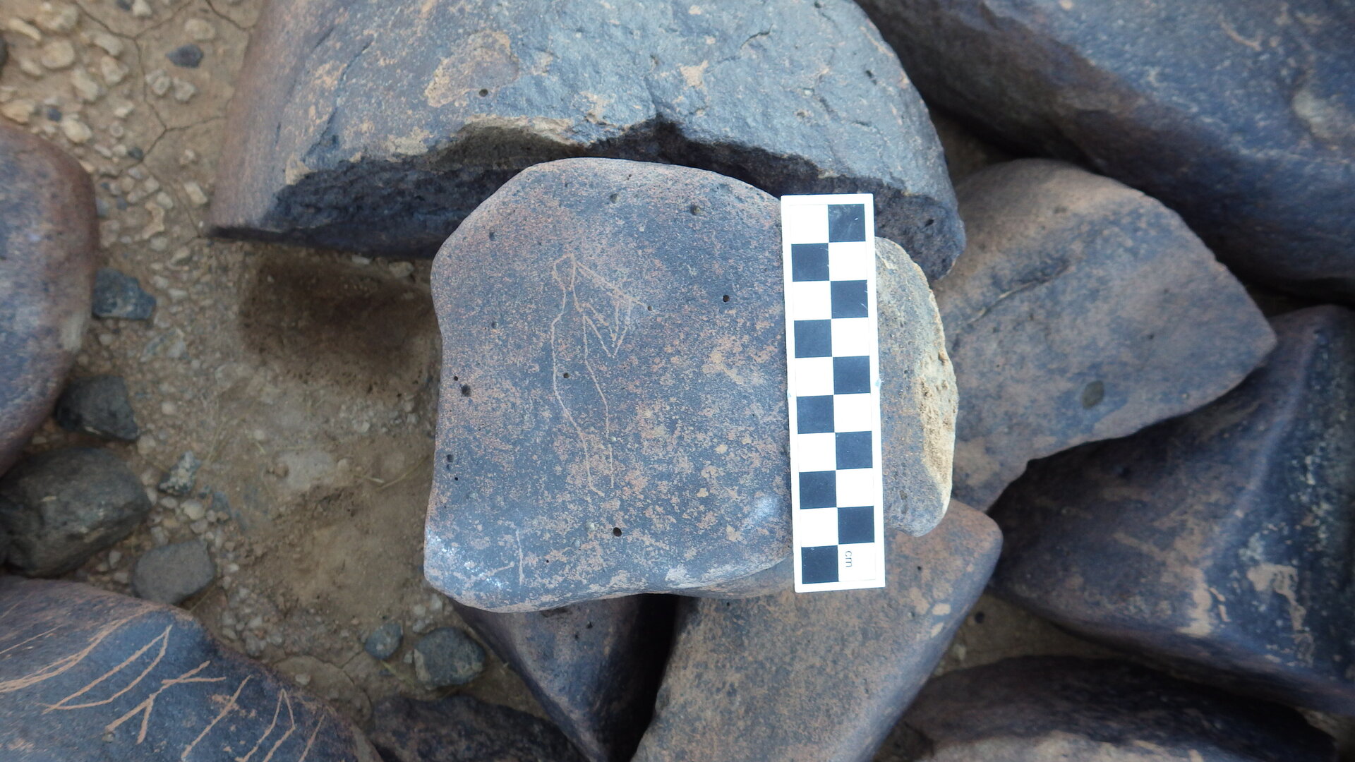 Image of siglum BES20 1246