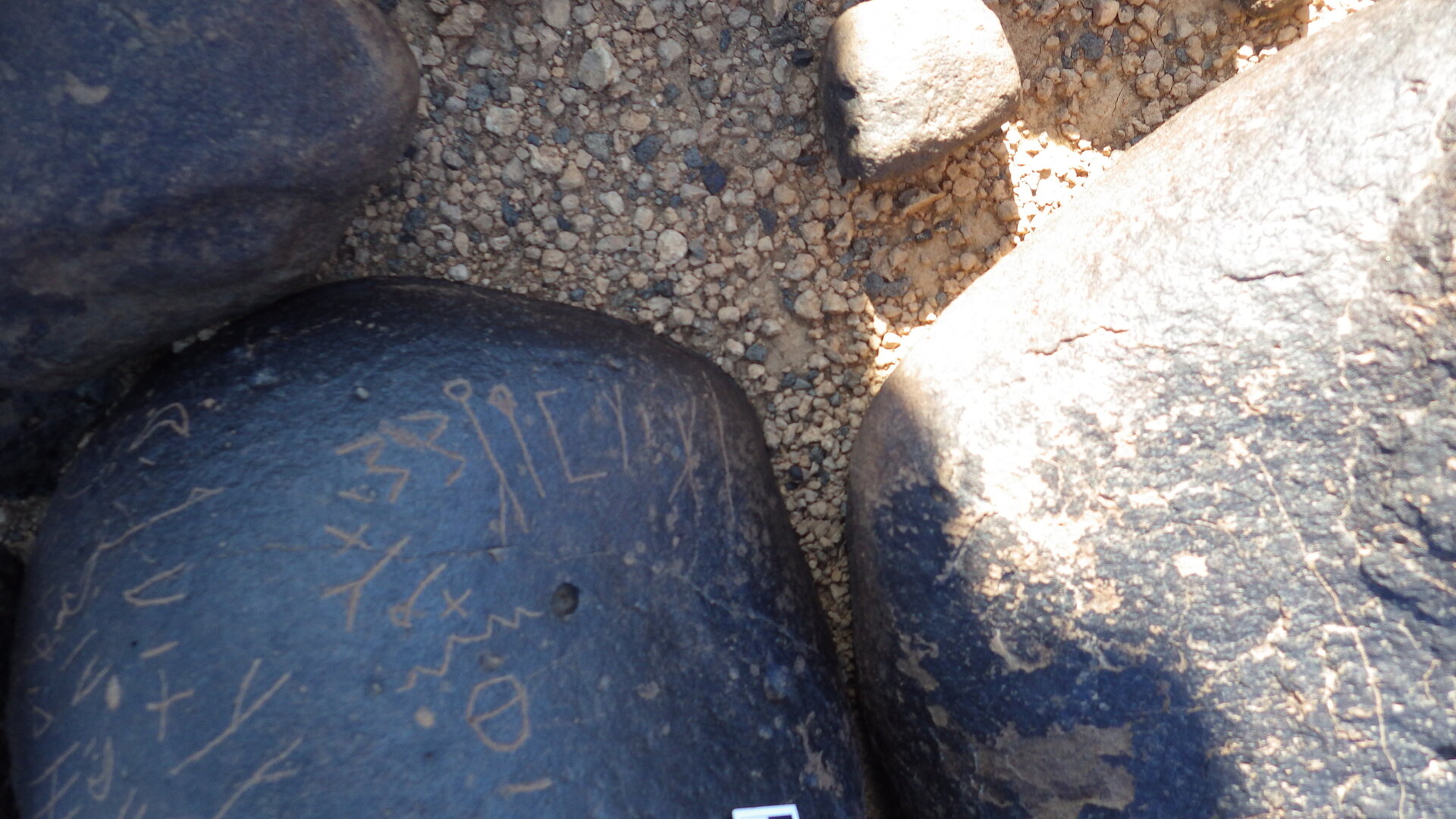 Image of siglum BES20 1246