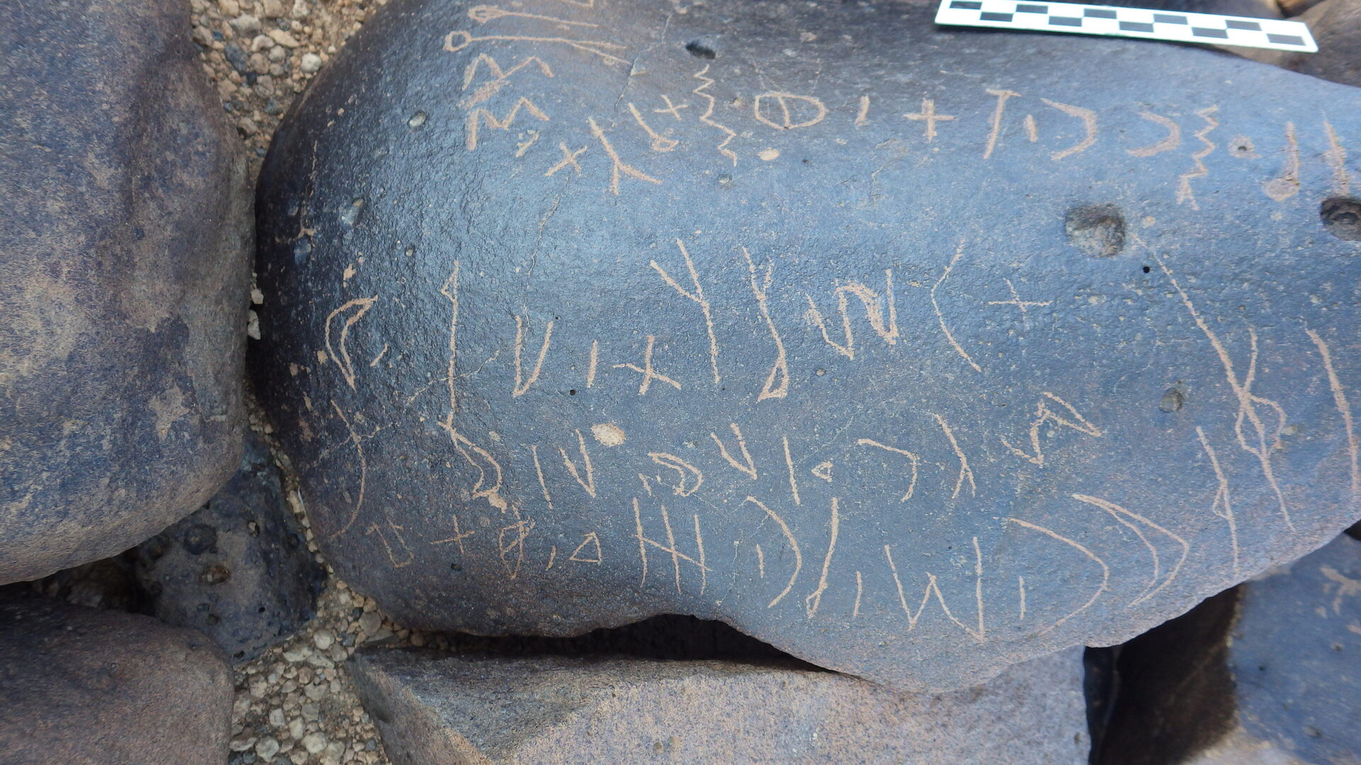 Image of siglum BES20 1246