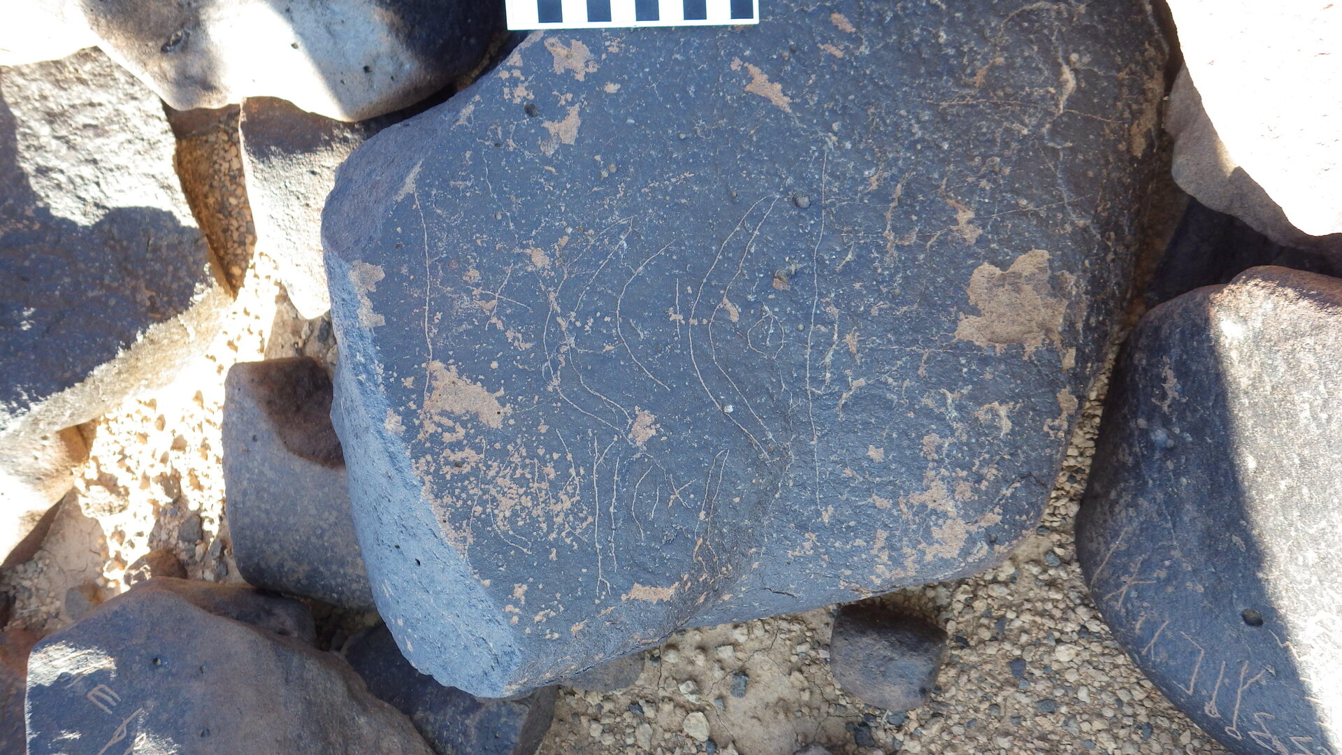 Image of siglum BES20 1246