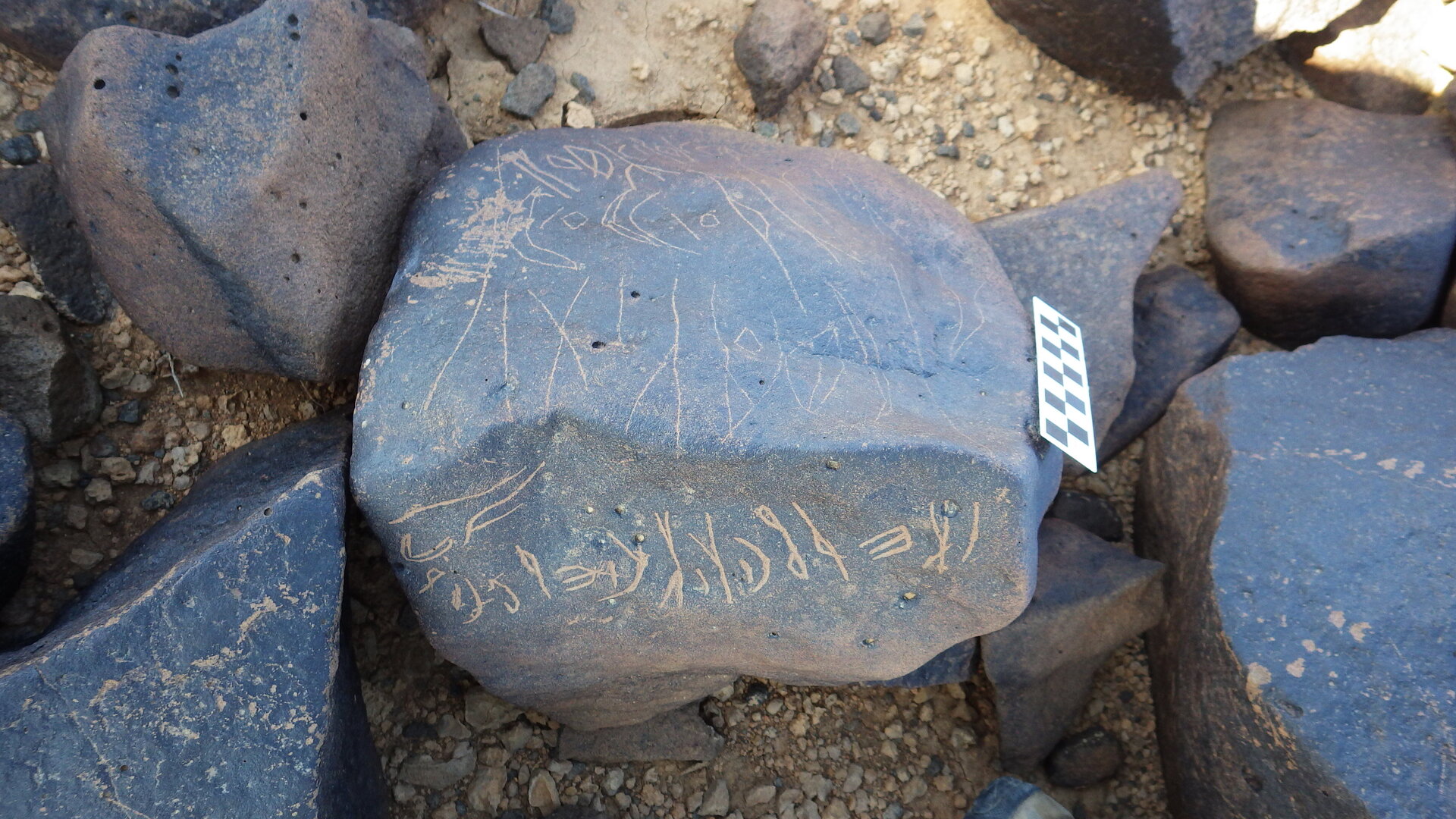Image of siglum BES20 1246