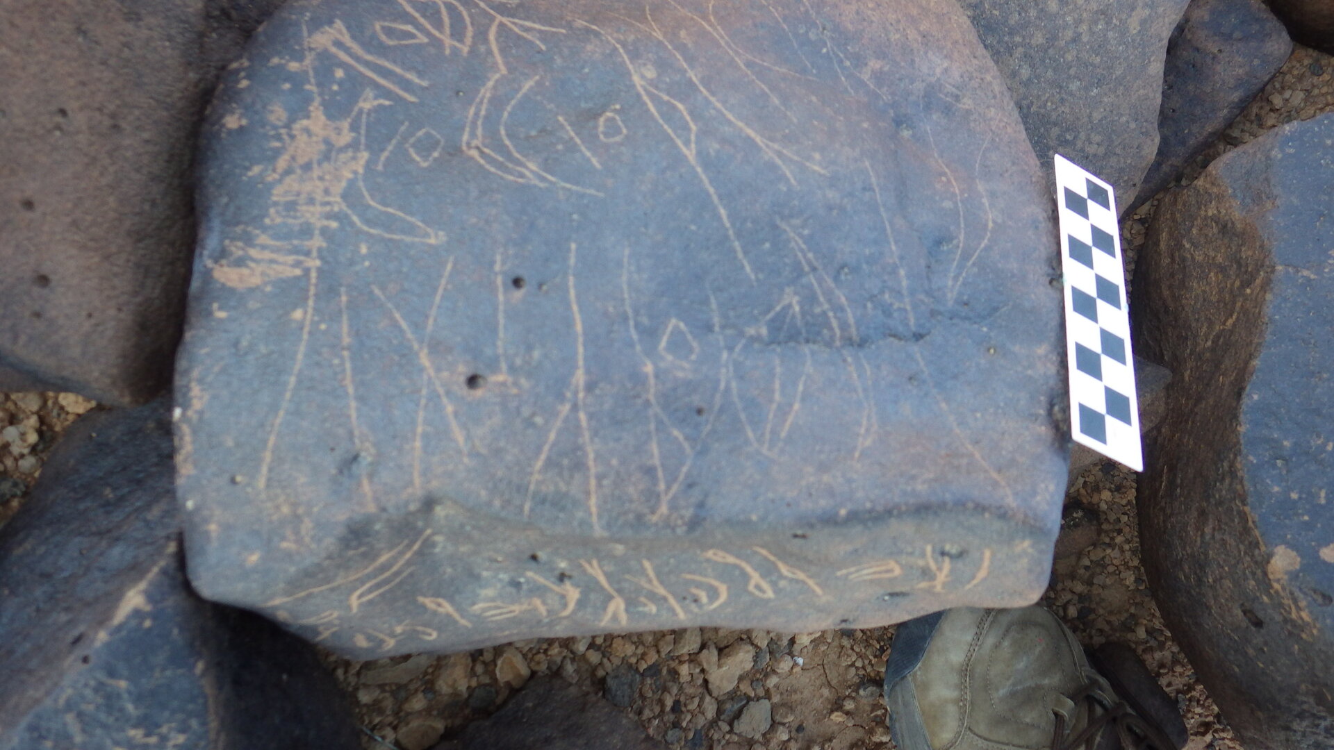 Image of siglum BES20 1246