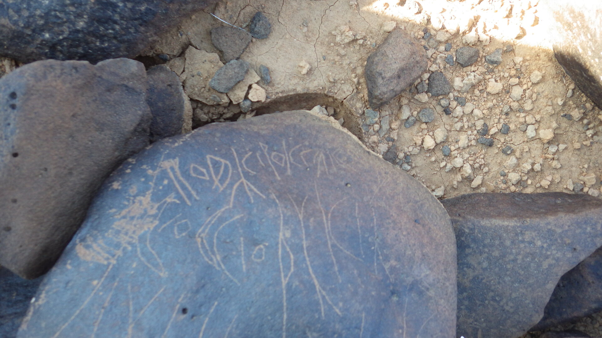 Image of siglum BES20 1246