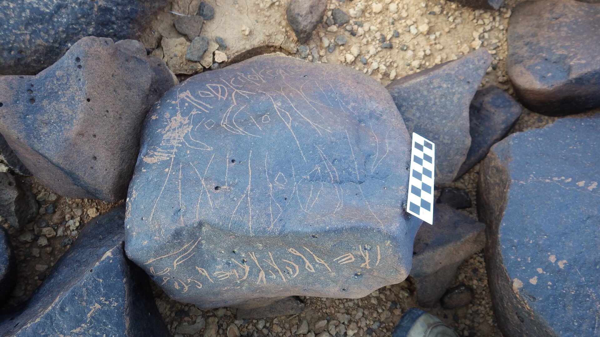 Image of siglum BES20 1246