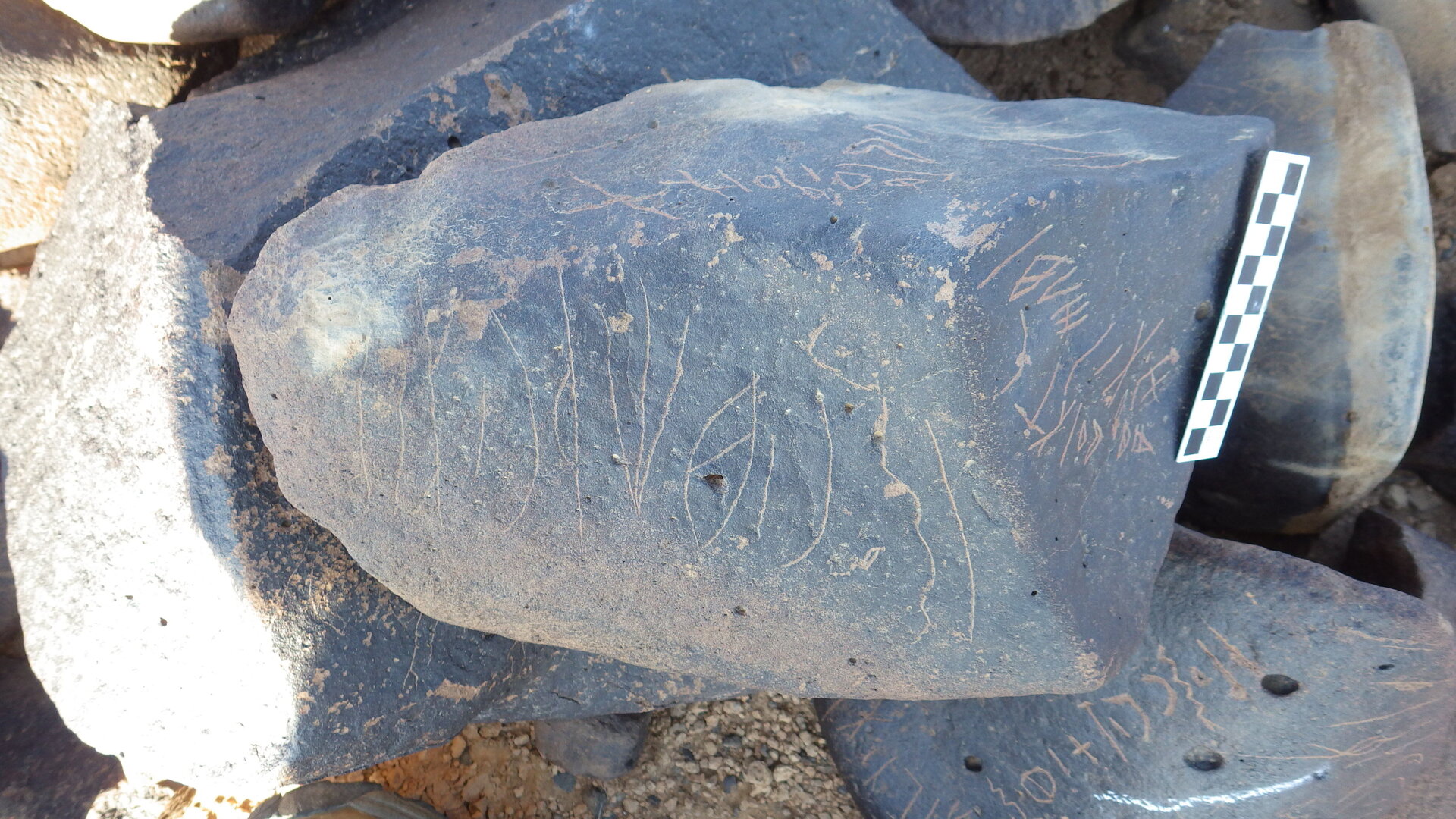 Image of siglum BES20 1246
