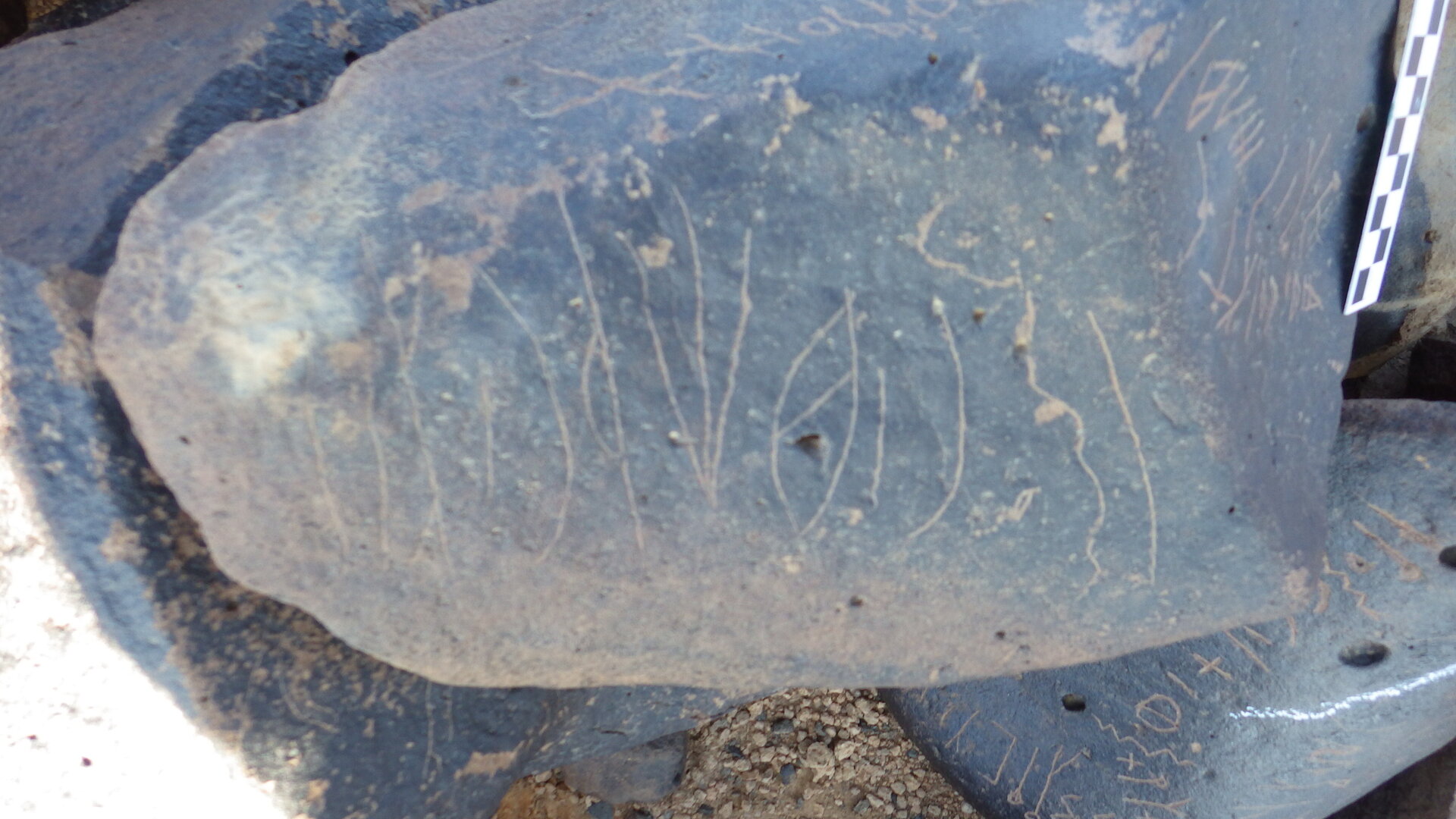Image of siglum BES20 1246