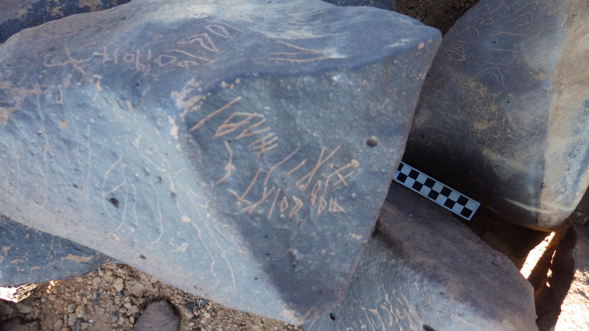 Image of siglum BES20 1246