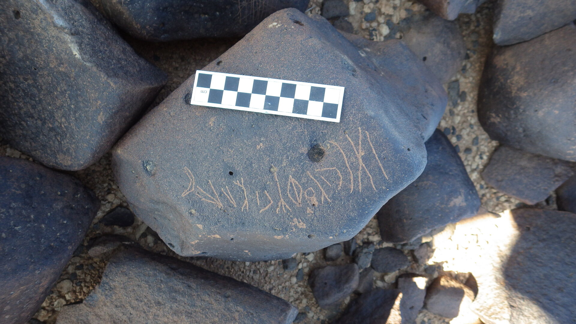 Image of siglum BES20 1246