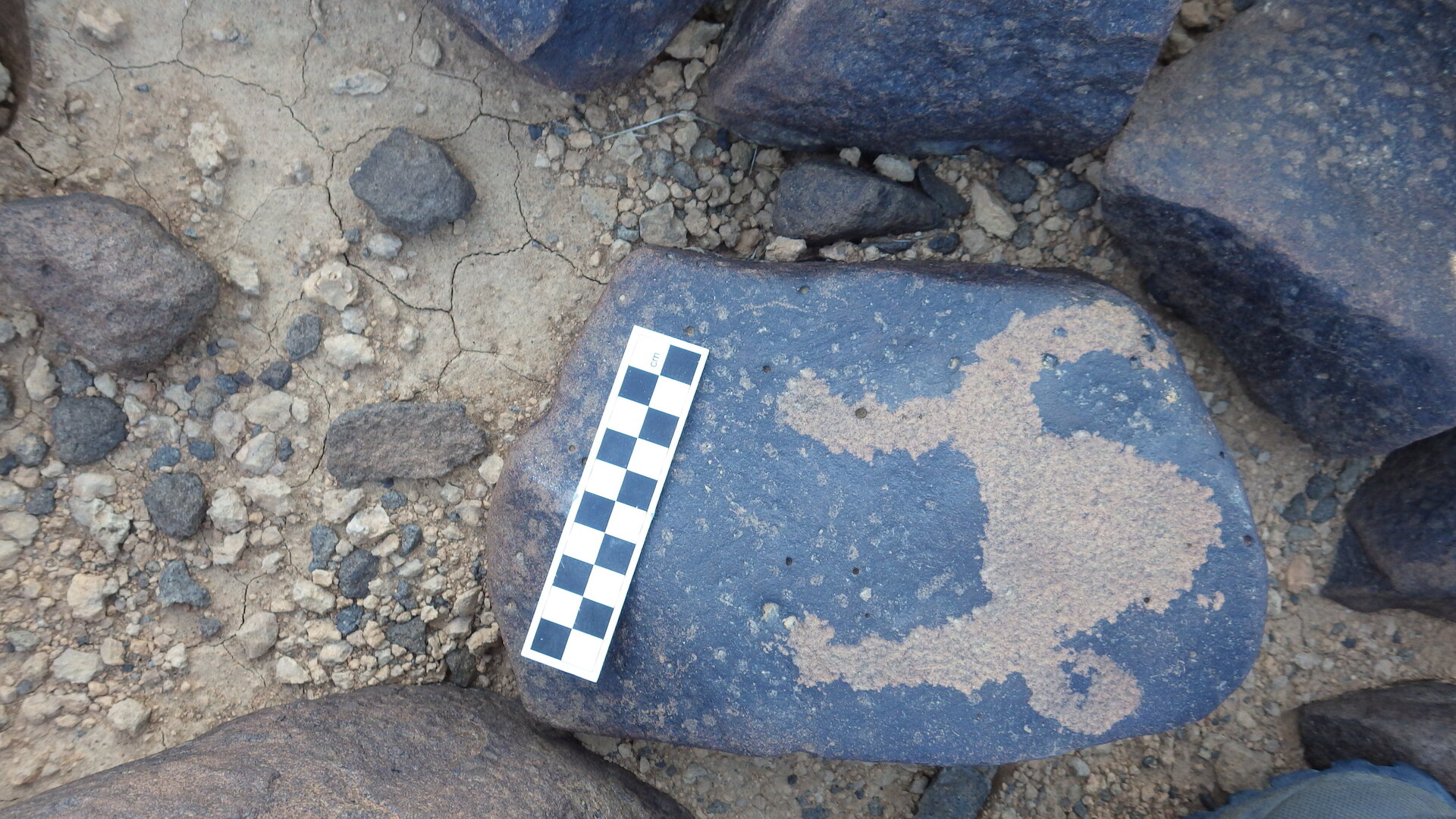 Image of siglum BES20 1246