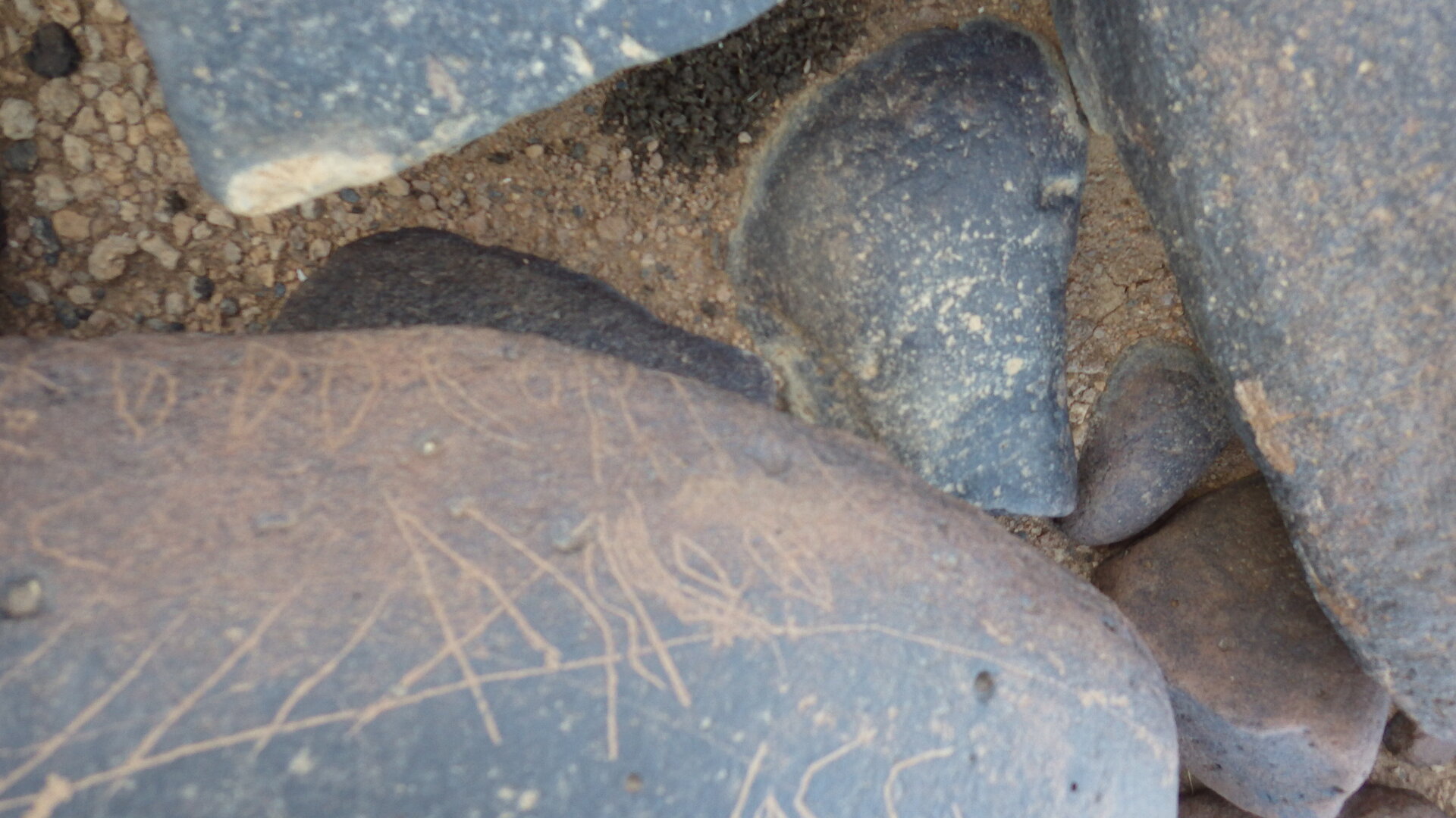 Image of siglum BES20 1246