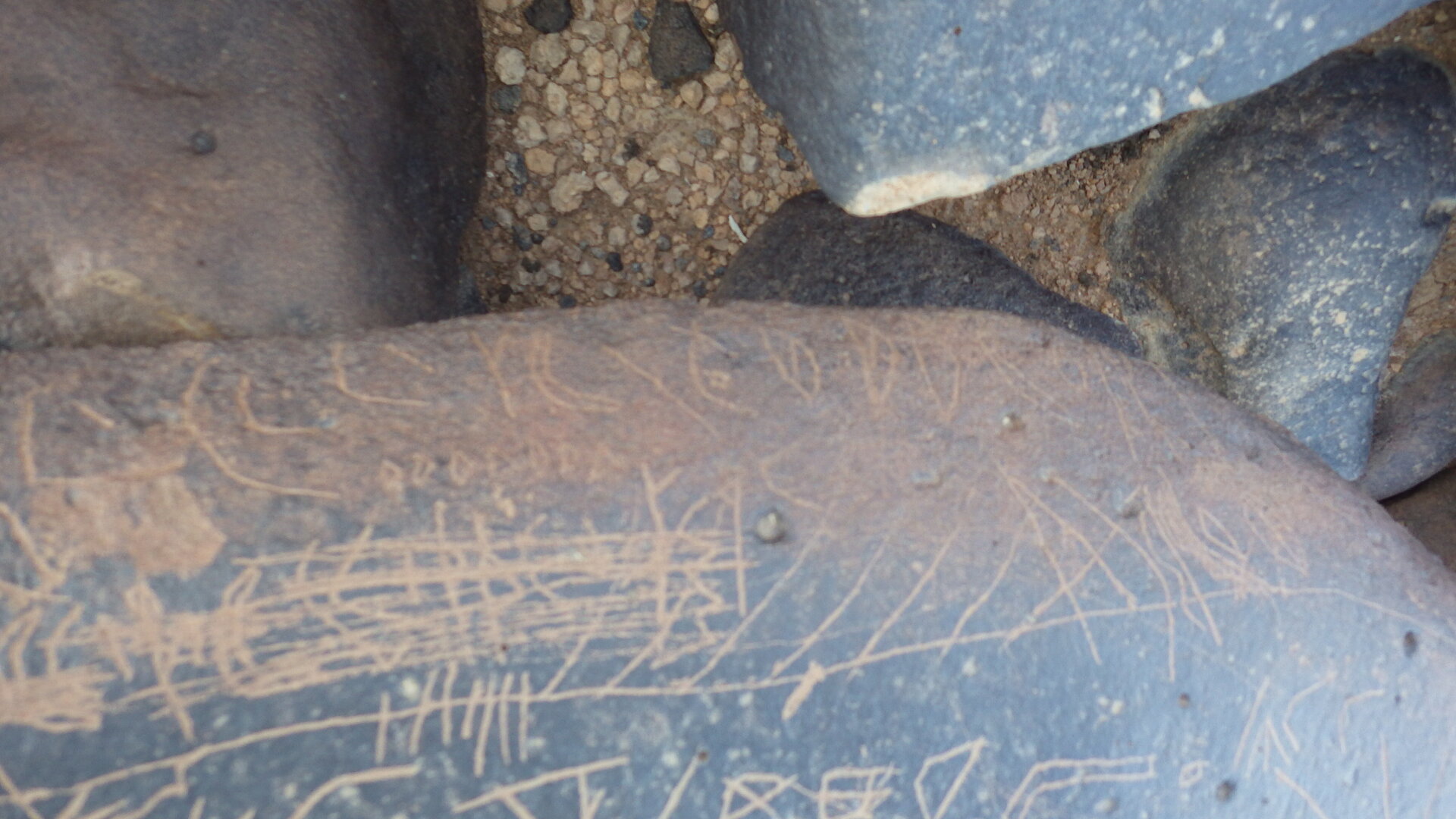 Image of siglum BES20 1246