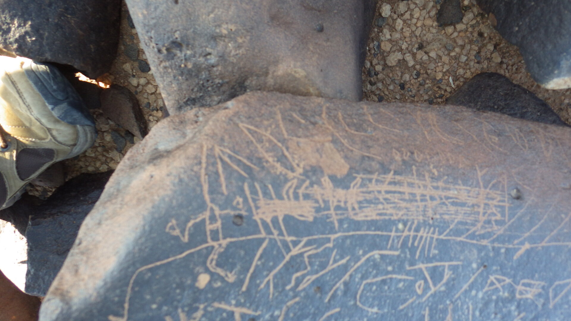 Image of siglum BES20 1246