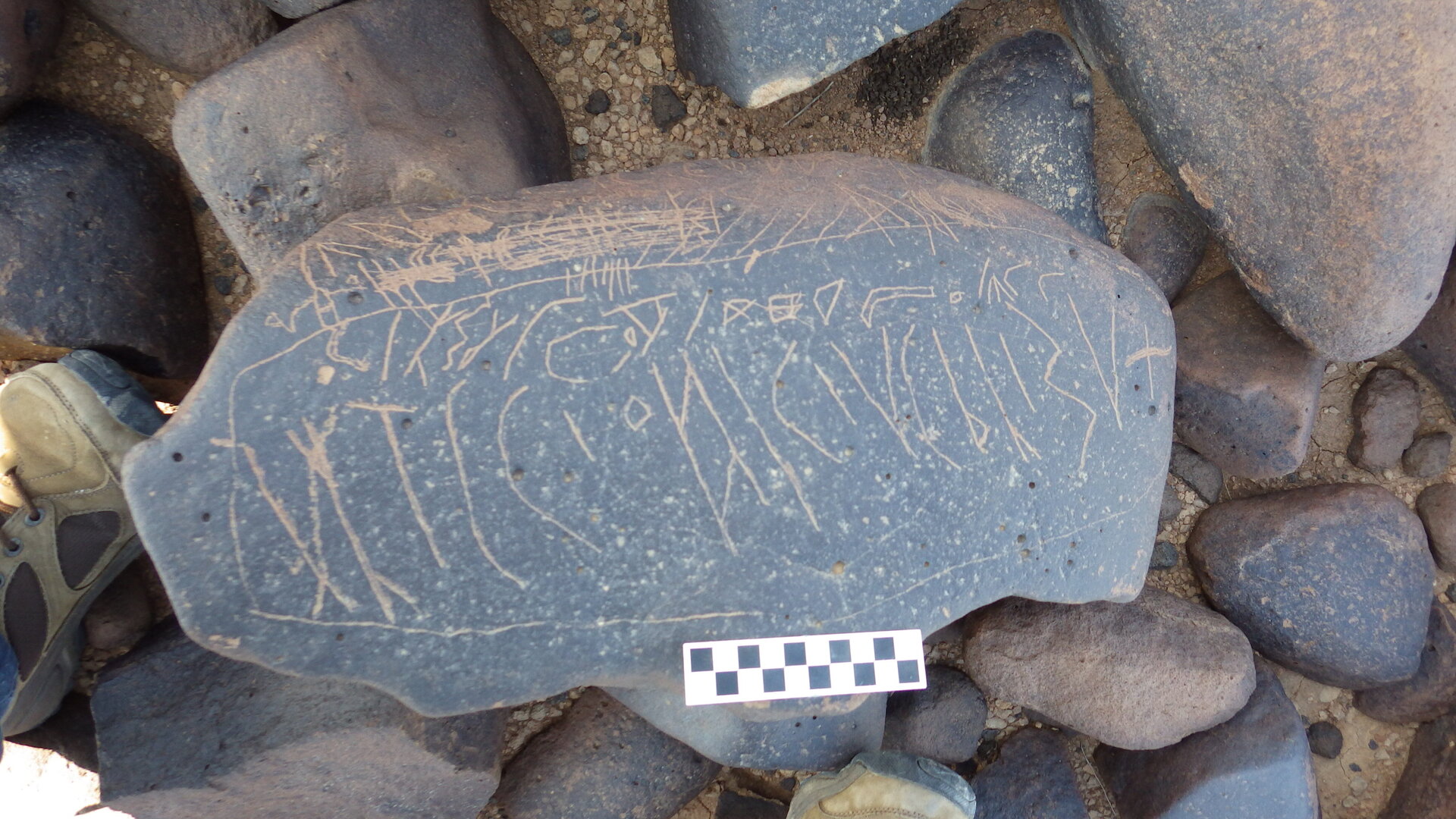 Image of siglum BES20 1246