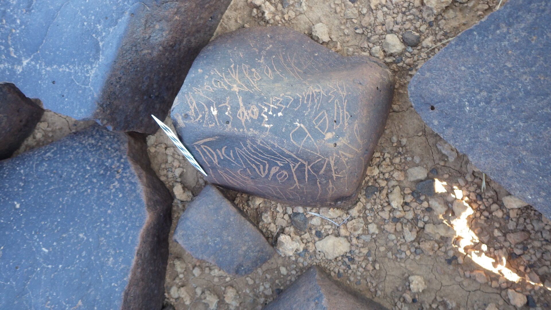 Image of siglum BES20 1246