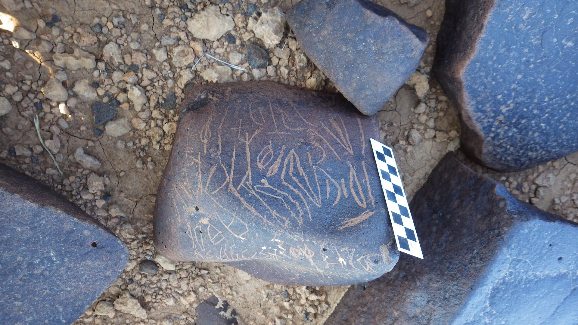 Image of siglum BES20 1246
