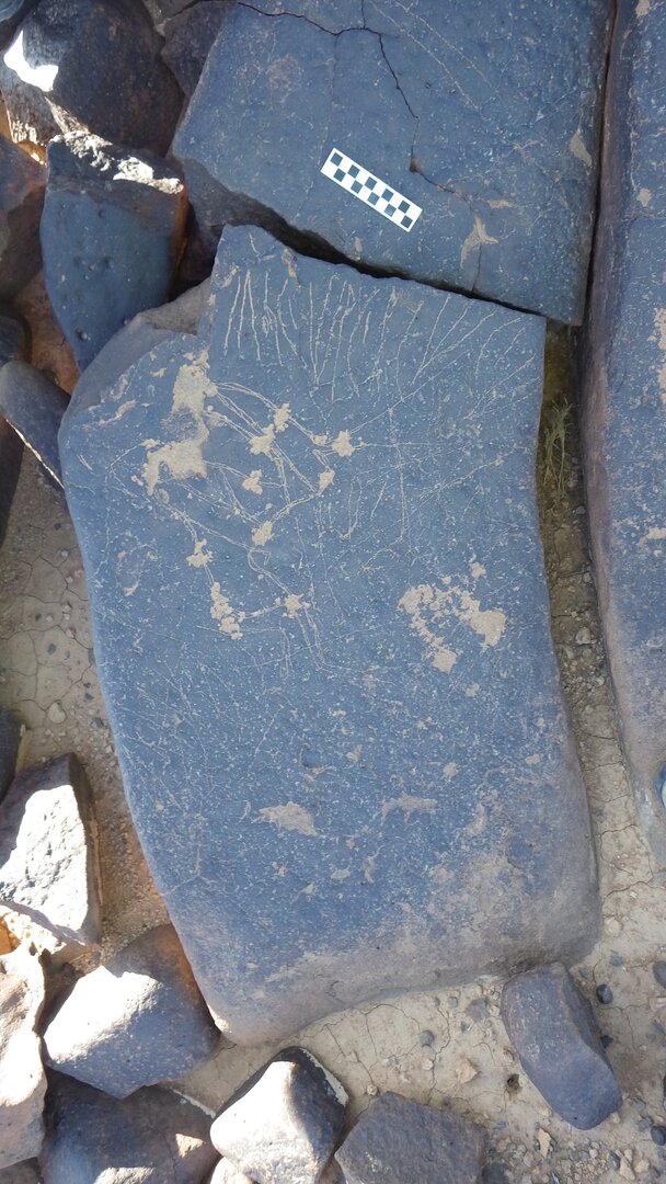 Image of siglum BES20 1246