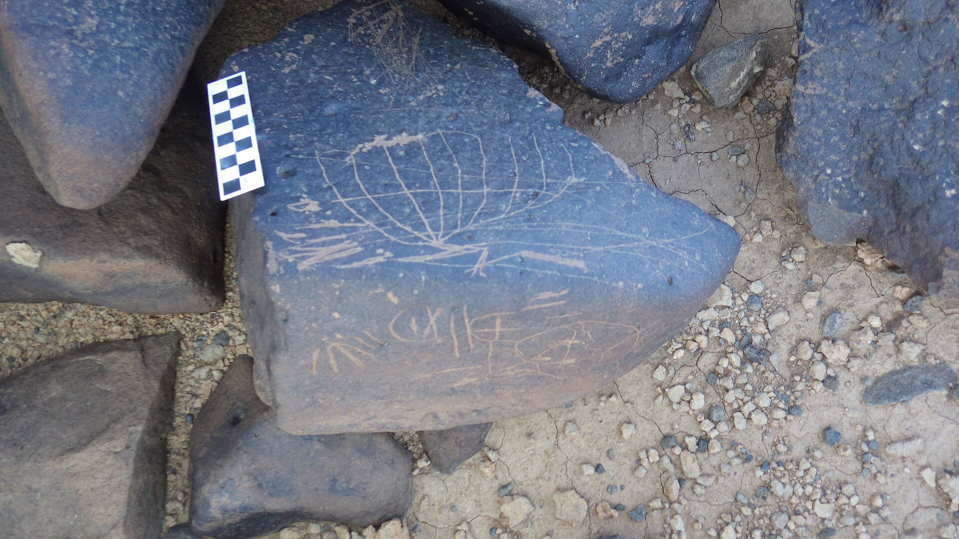 Image of siglum BES20 1246