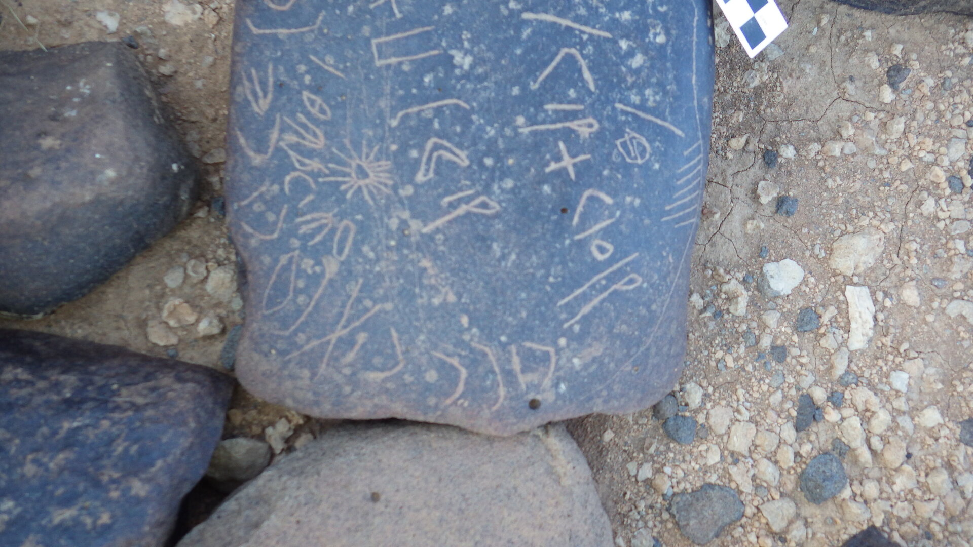 Image of siglum BES20 1246