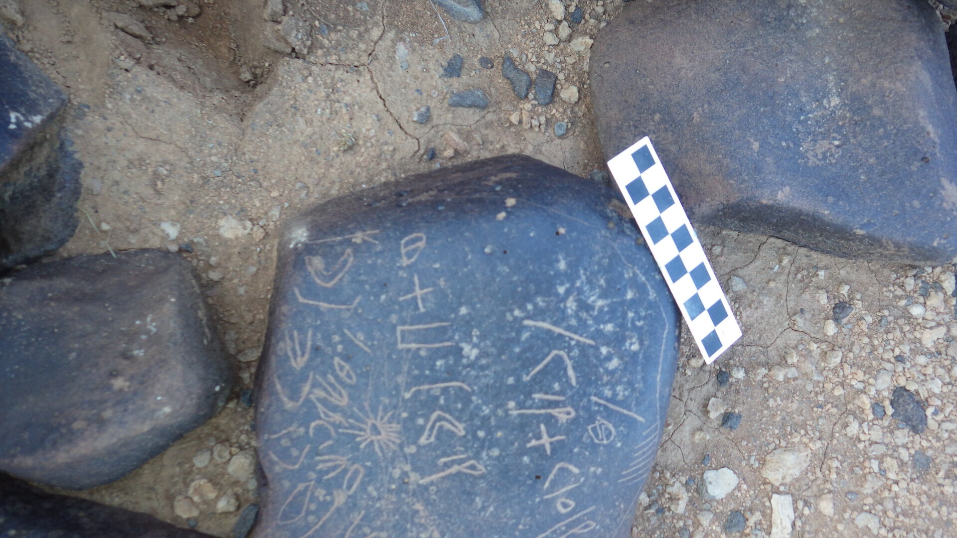 Image of siglum BES20 1246