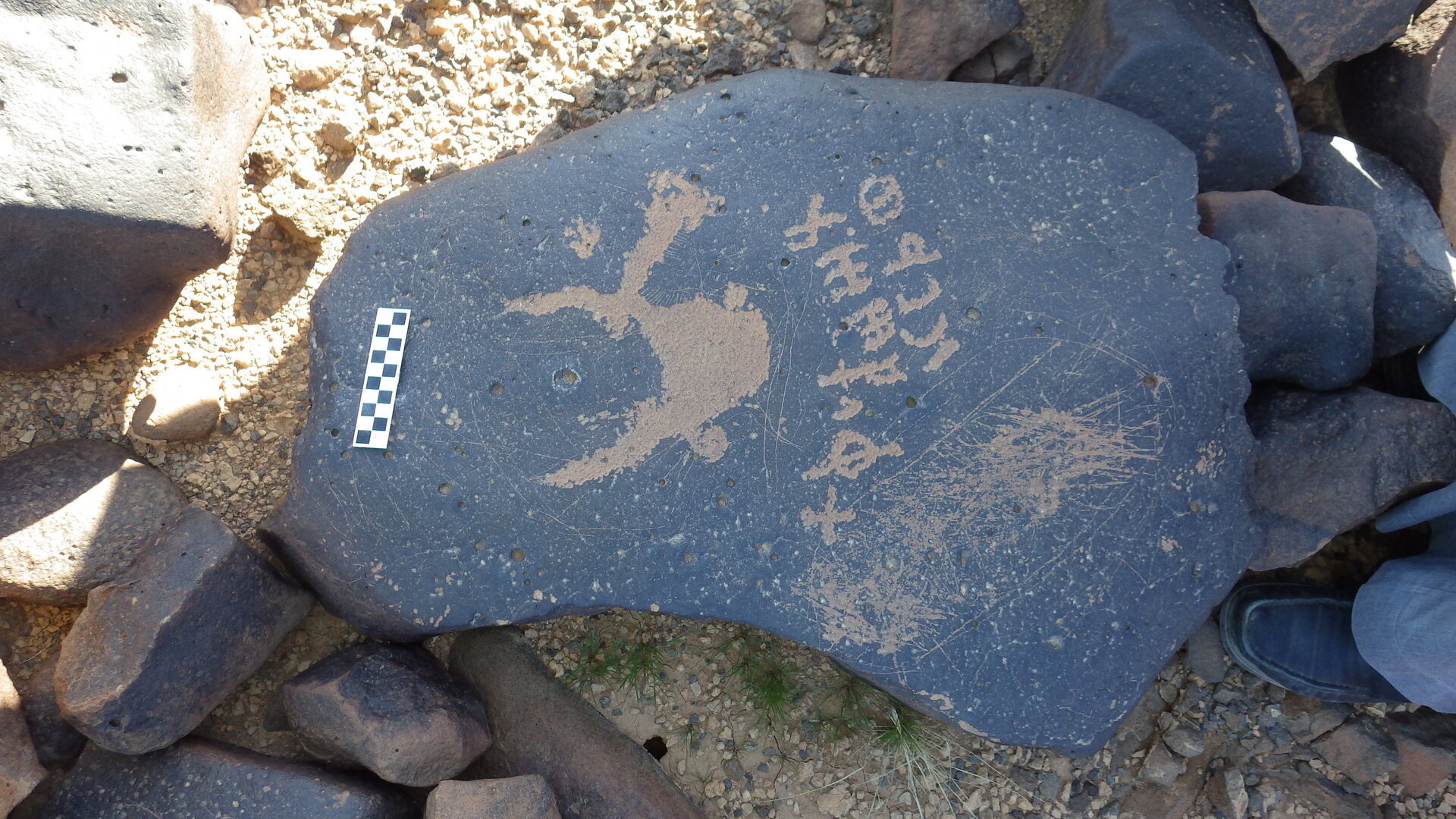 Image of siglum BES20 1246
