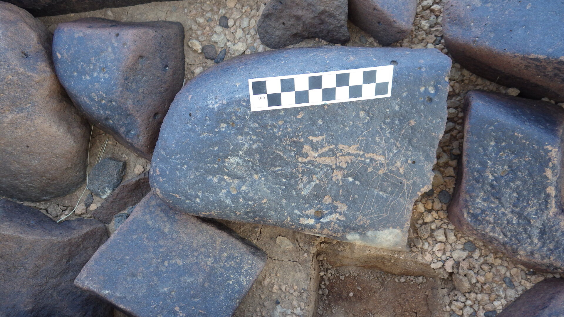 Image of siglum BES20 1246