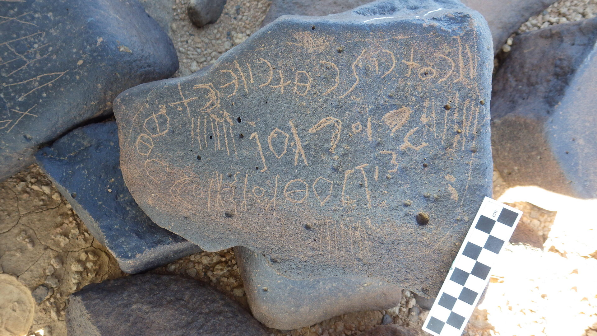 Image of siglum BES20 1246