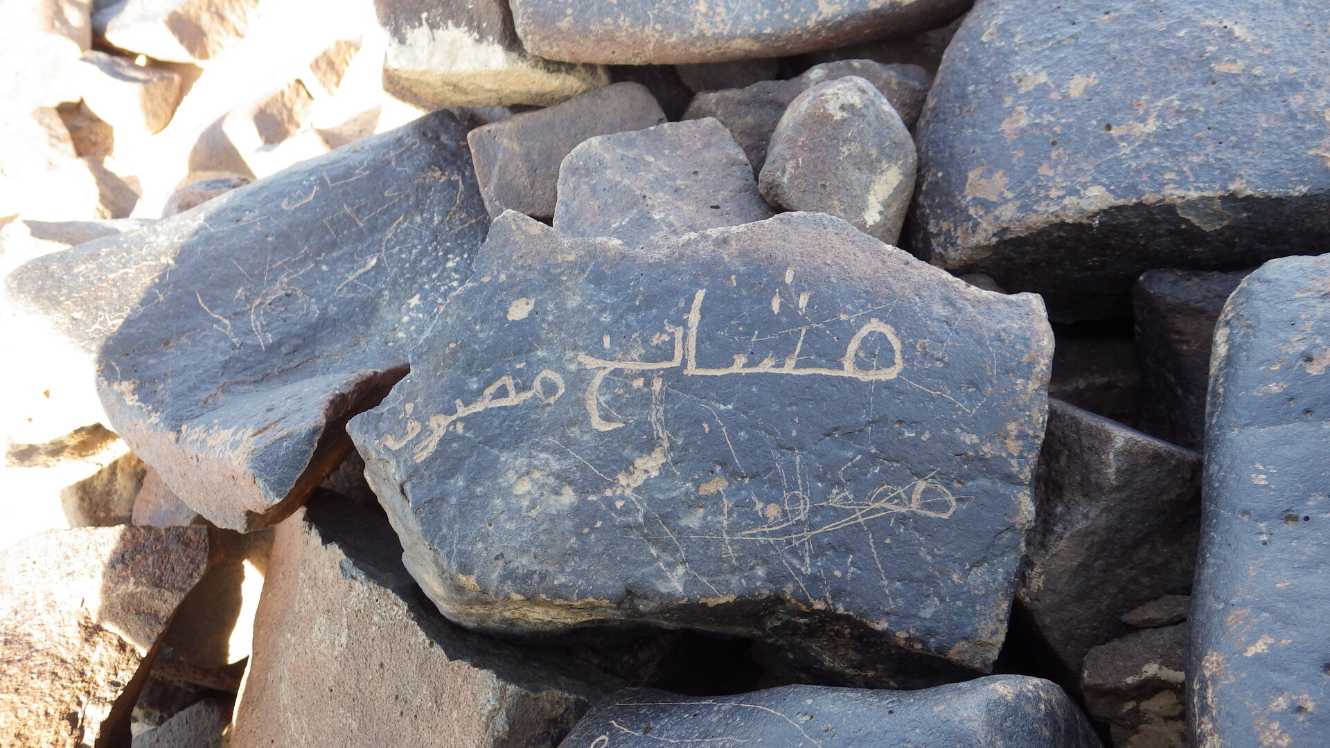 Image of siglum BES20 1246