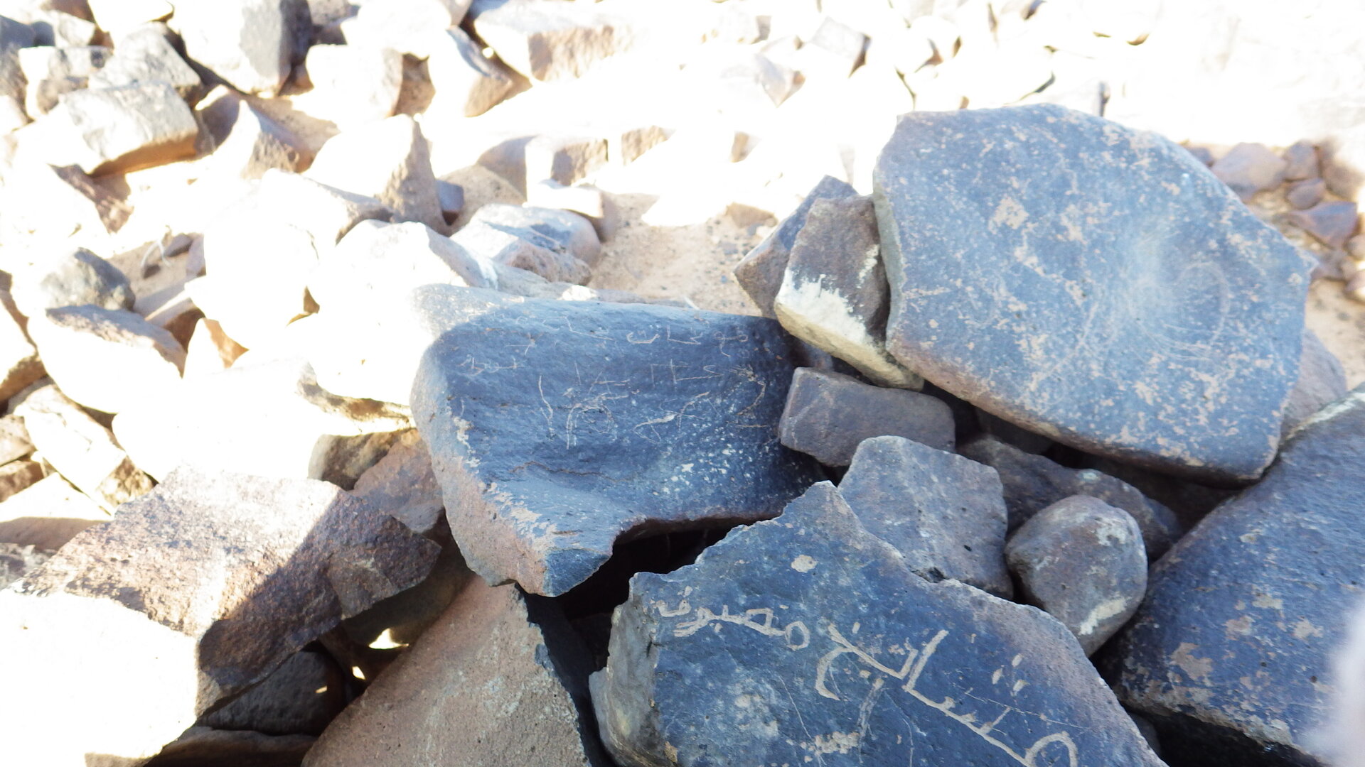 Image of siglum BES20 1246