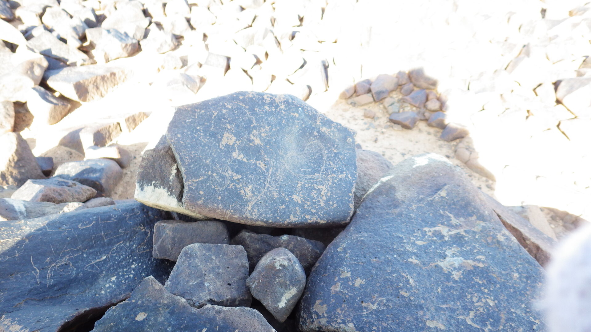 Image of siglum BES20 1246