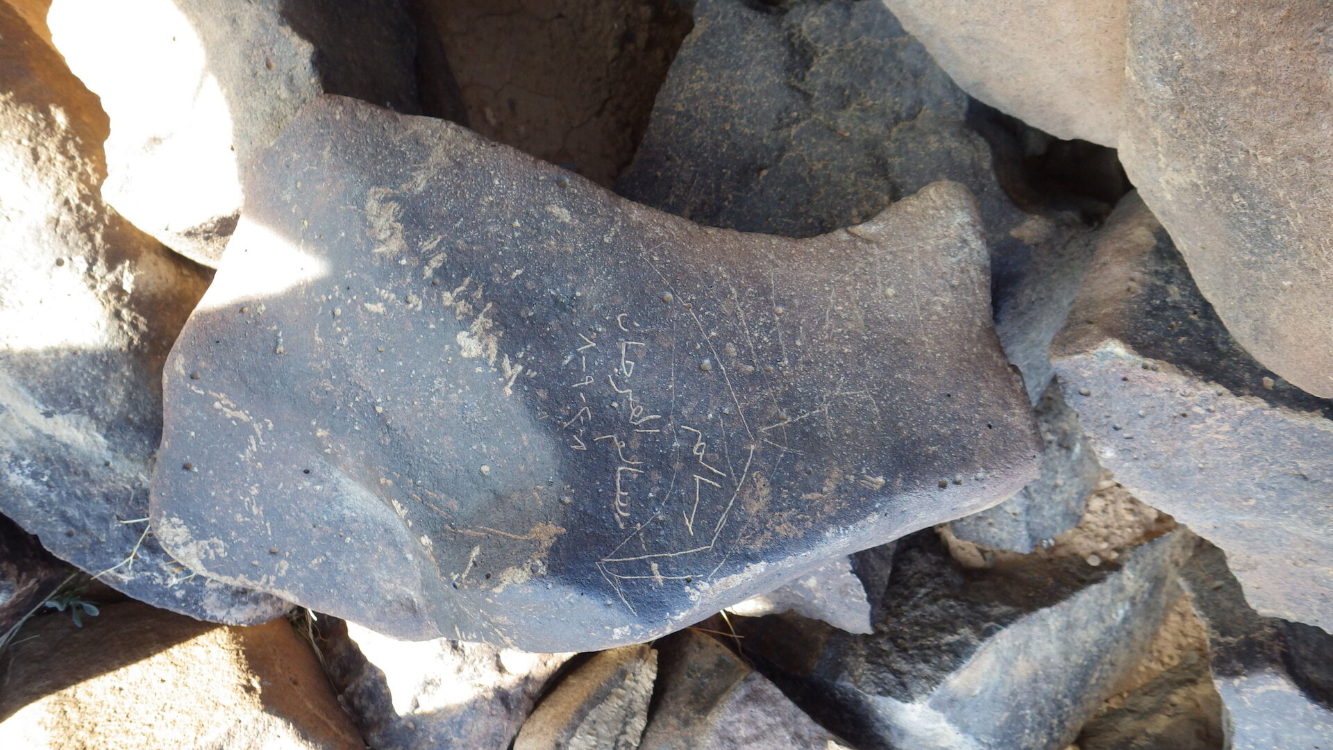 Image of siglum BES20 1246
