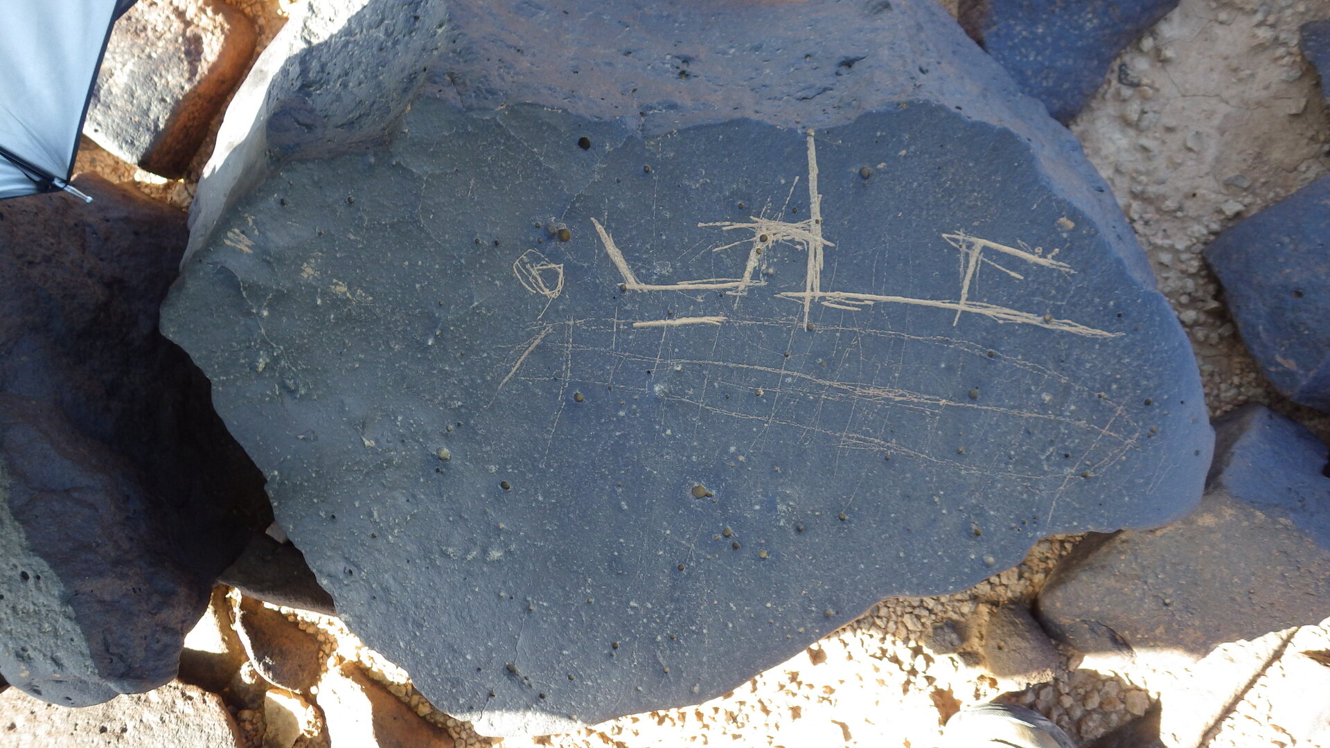 Image of siglum BES20 1246