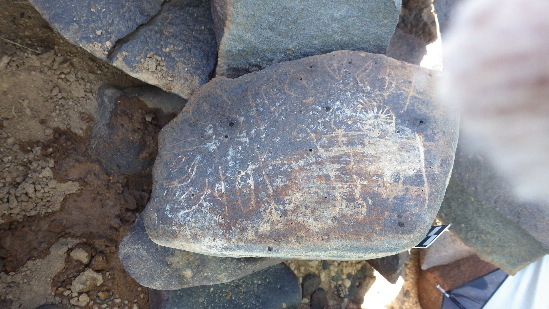 Image of siglum BES20 1246