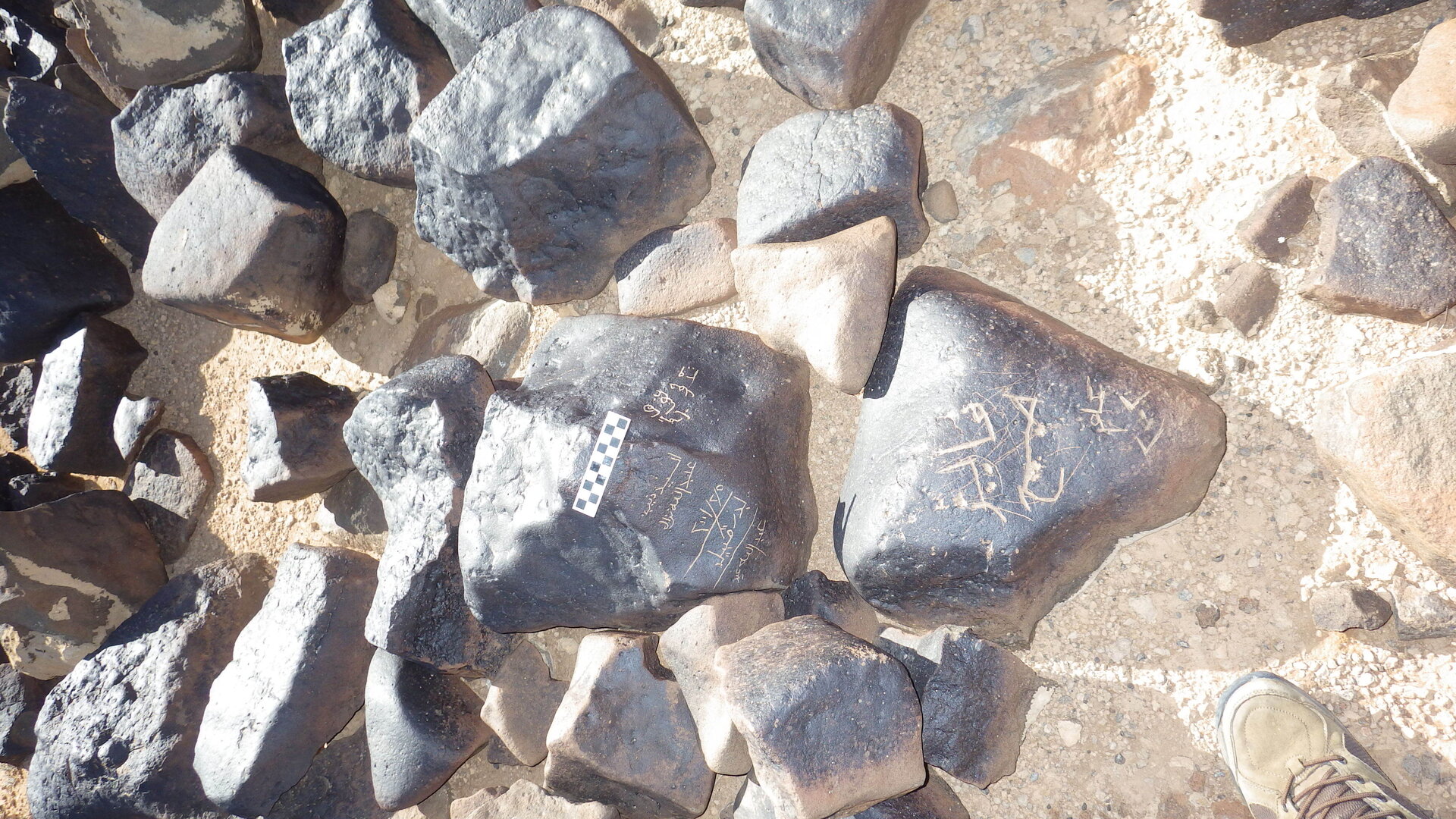 Image of siglum BES20 1246
