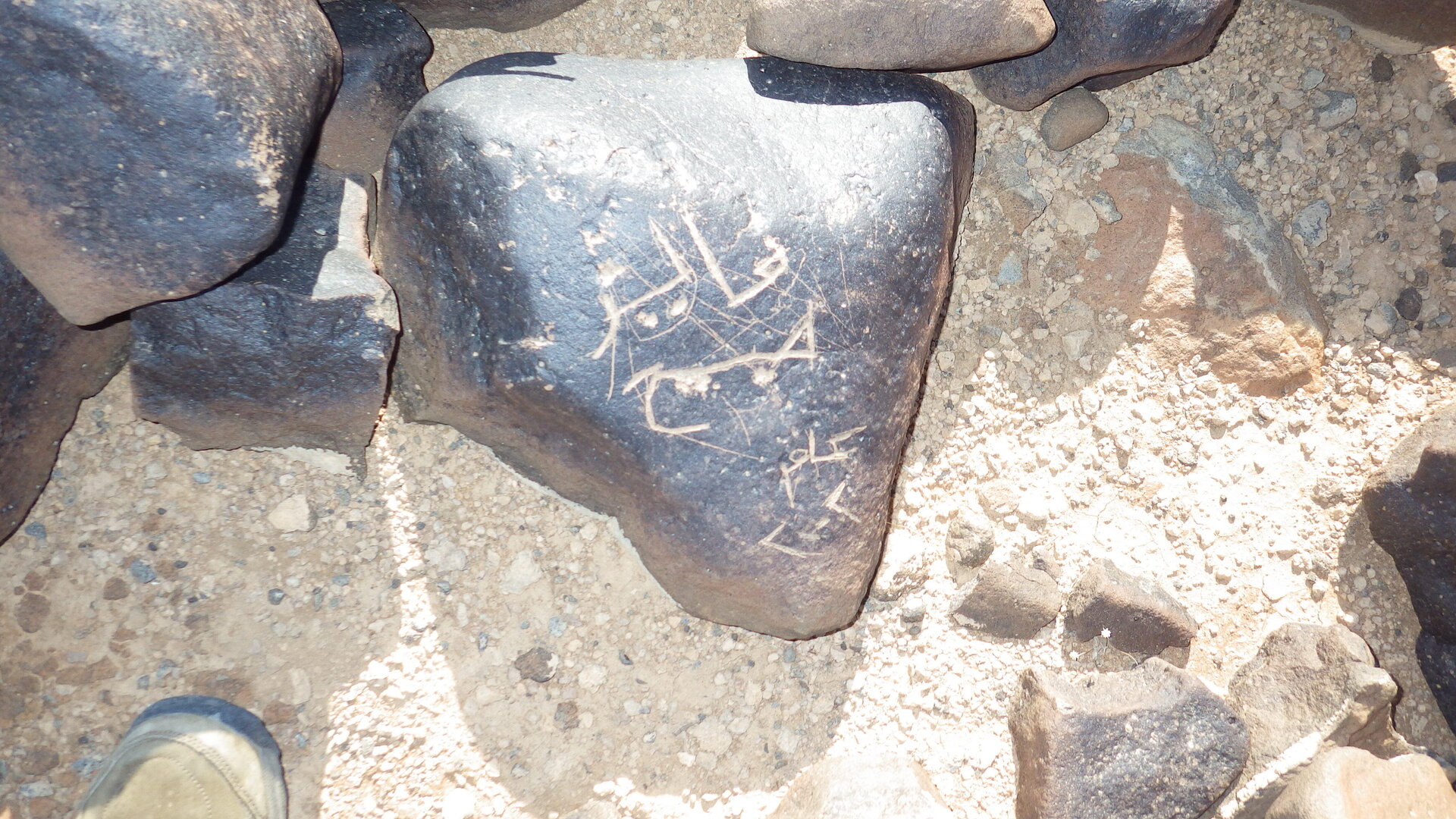 Image of siglum BES20 1246